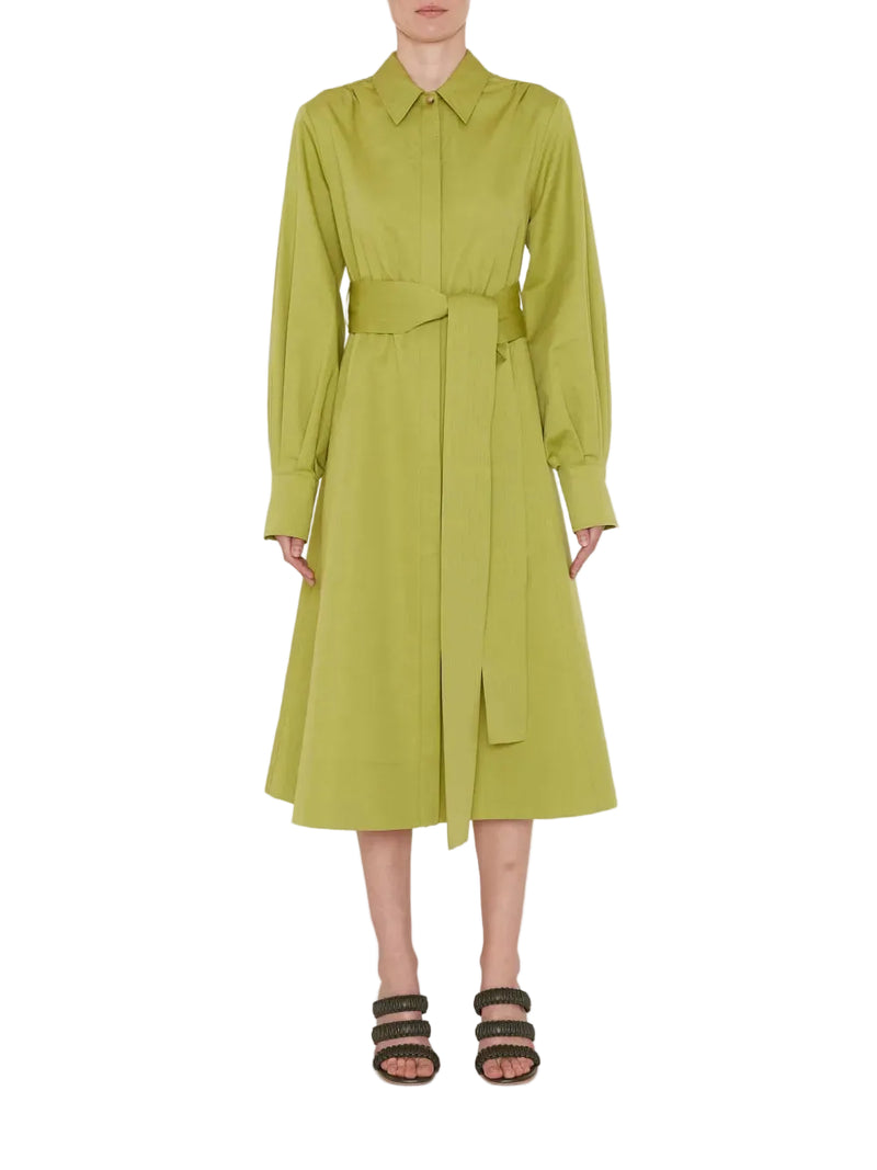 Green dress worn by a model on a white background