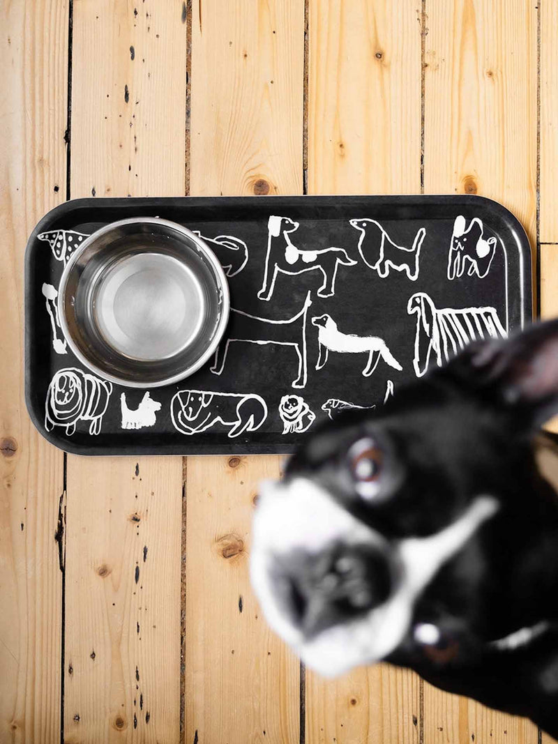 Dogs tray