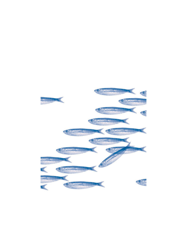 Banc de Sardines cocktail napkins (25x25cm)