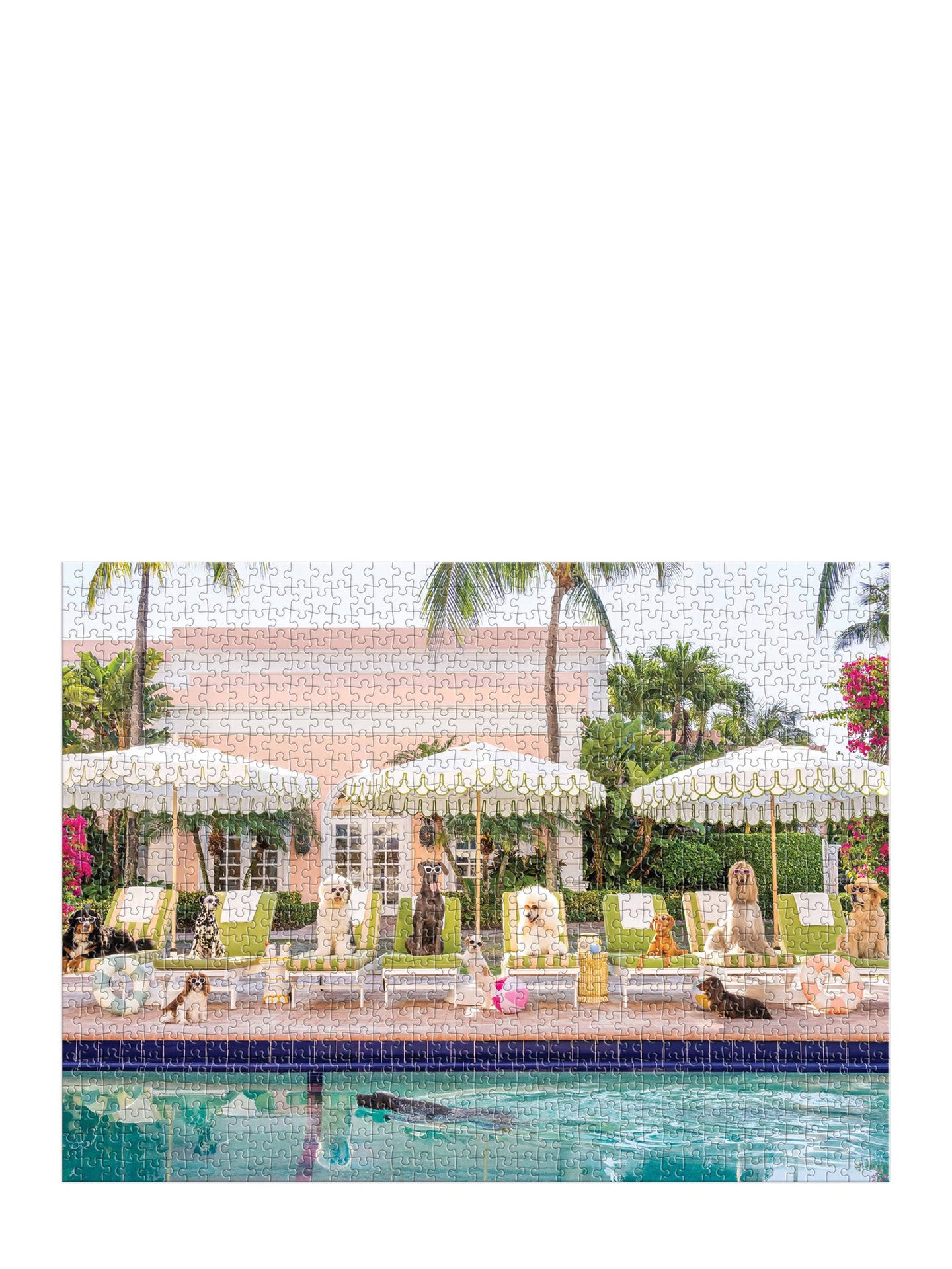 Gray Malin Palm beach book box puzzle (1000 pcs)