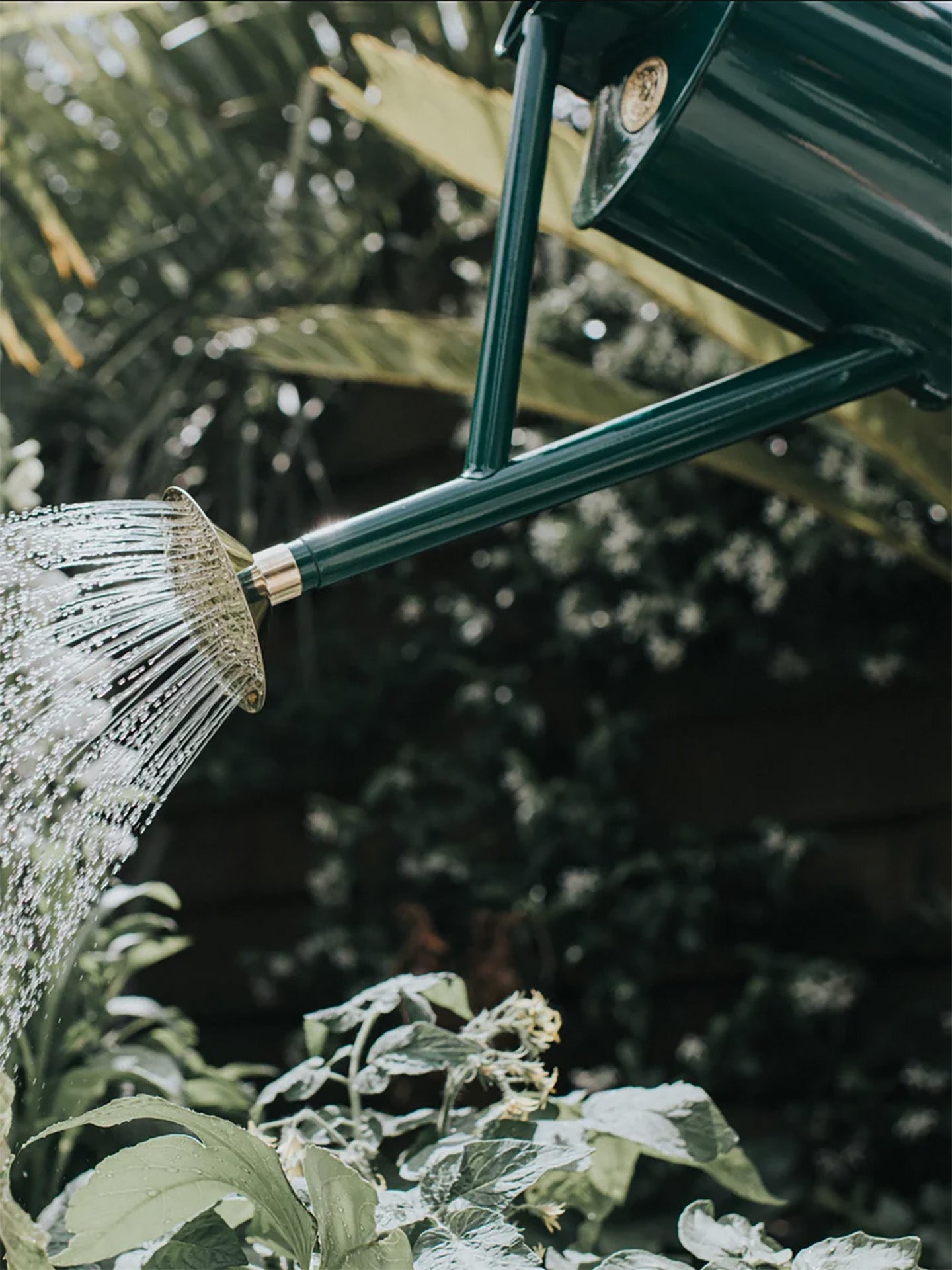 HAWS Green Bearwood Brook Watering Can 3.8 L