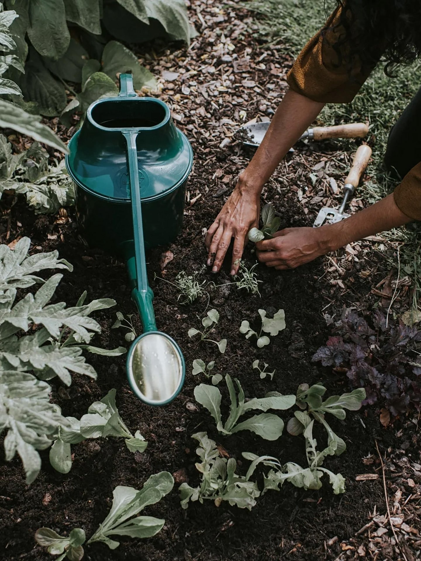 Cradley Cascader Watering Can, Green (6.8L)