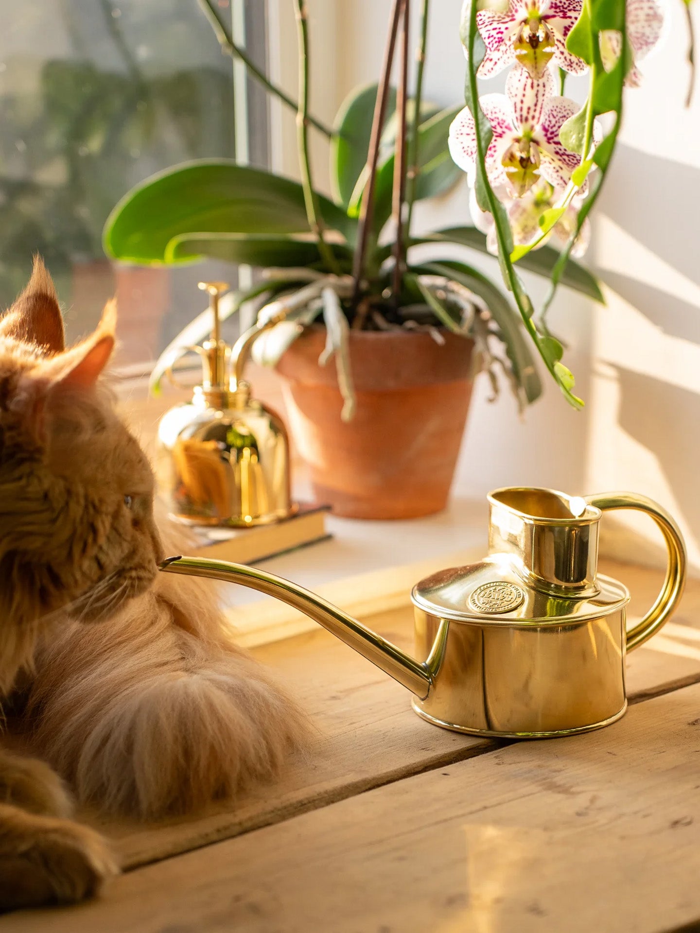 Fazeley Flow watering can, Brass (0.7L