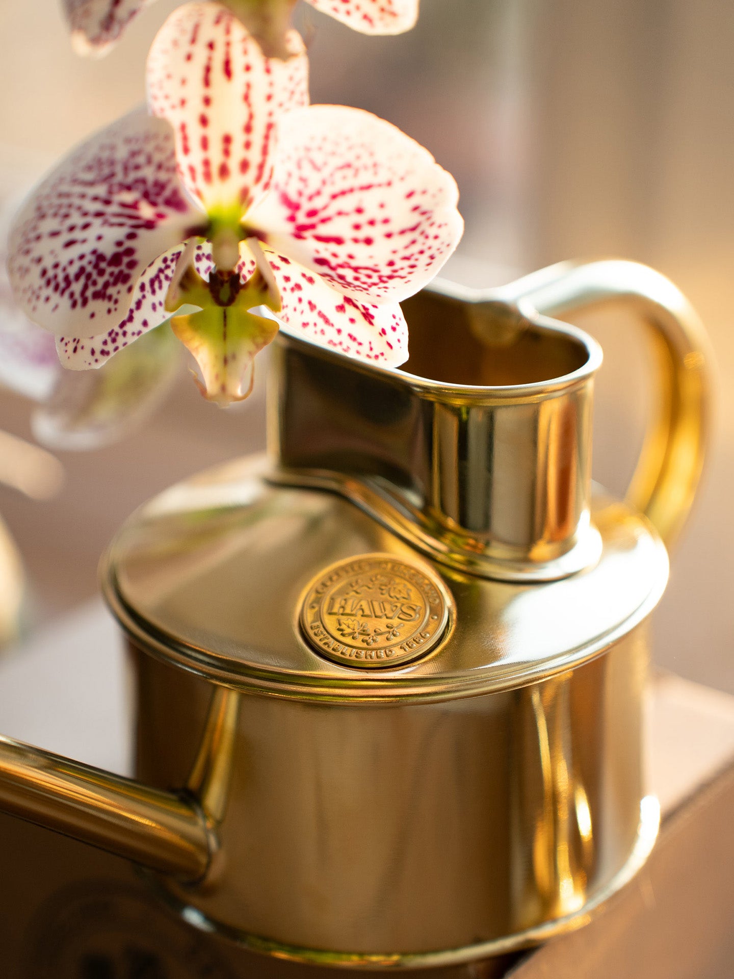Fazeley Flow watering can, Brass (0.7L
