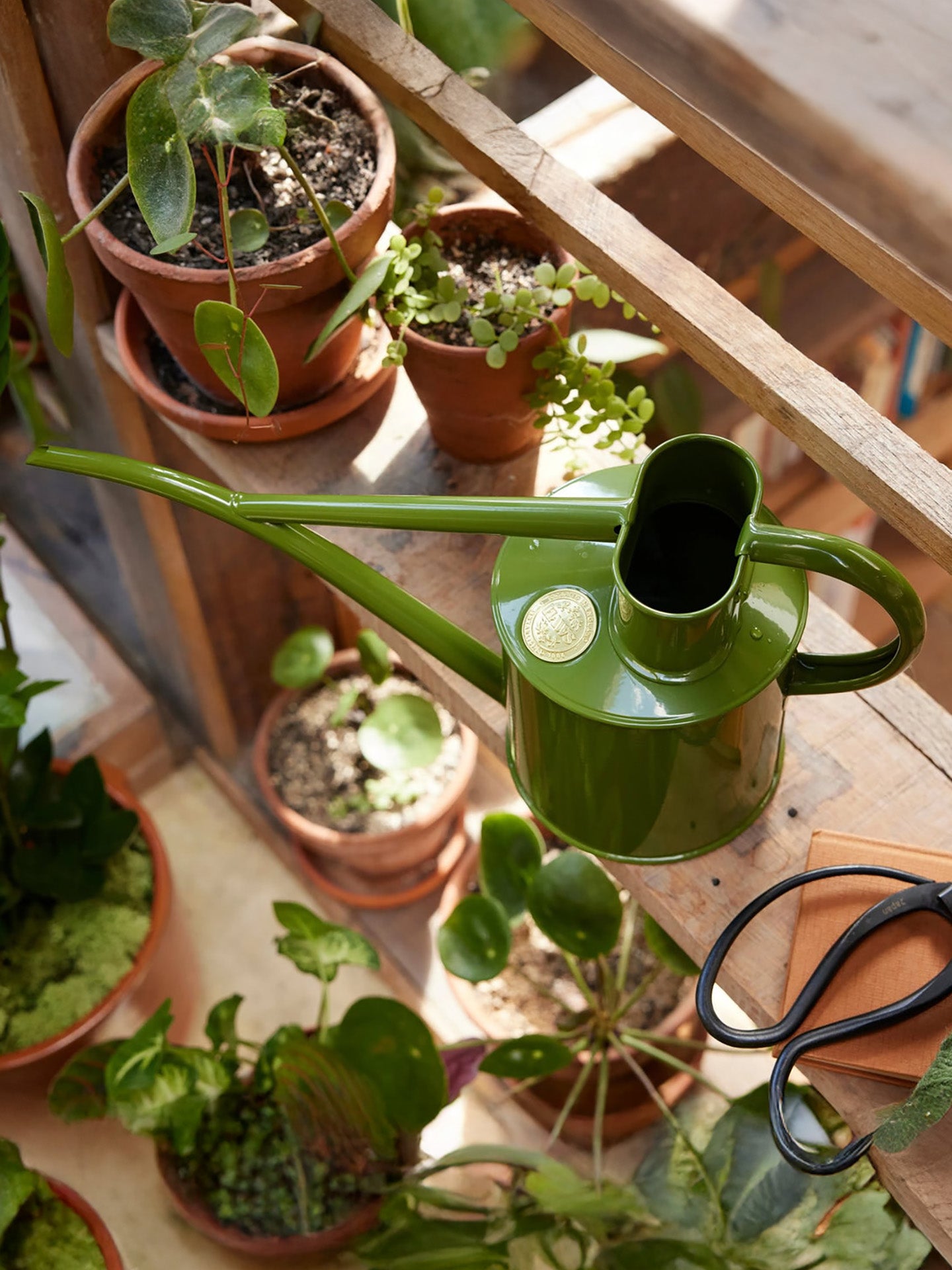 Fazeley Flow watering can, Fern Green (1L)