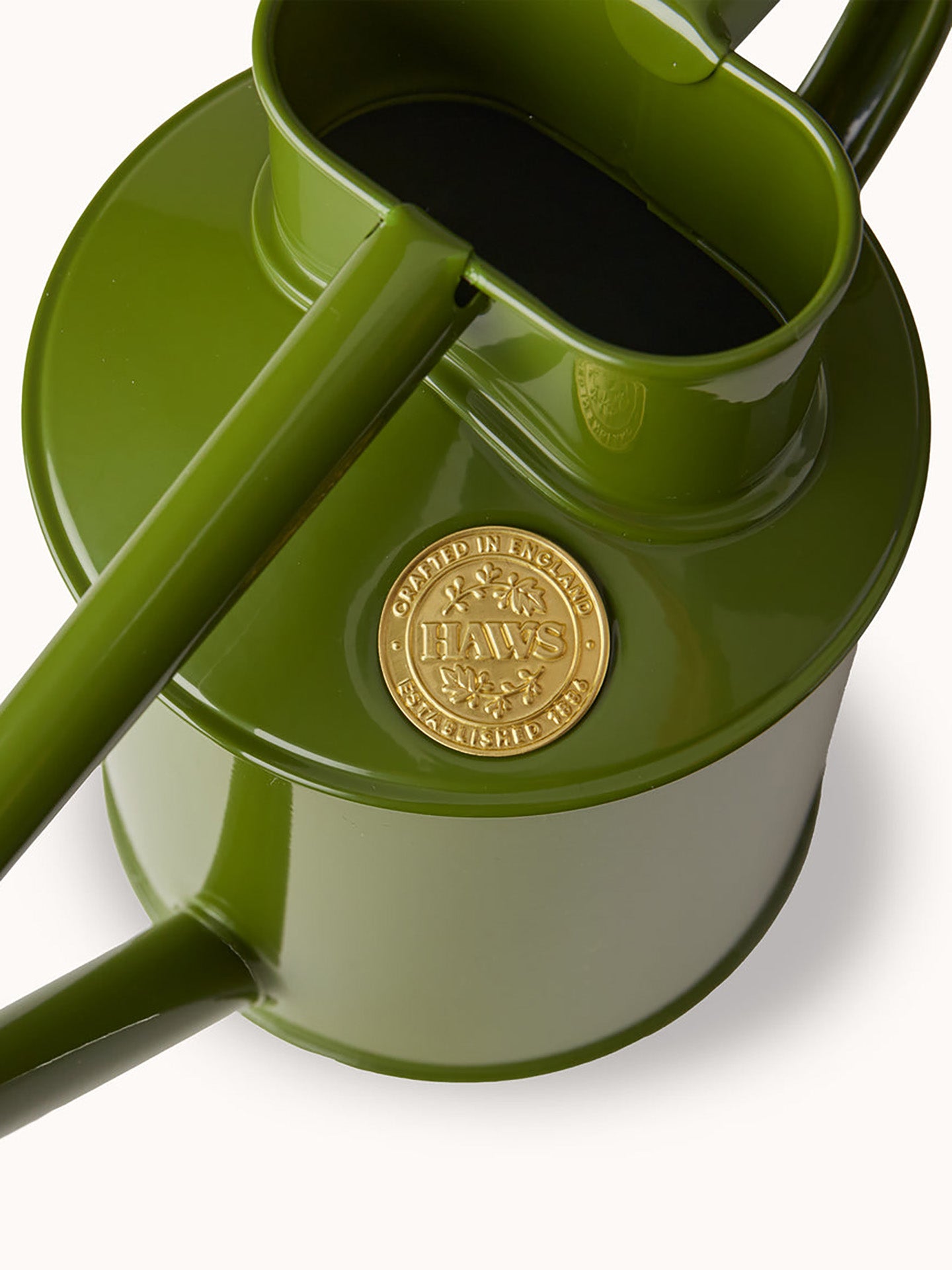 Fazeley Flow watering can, Fern Green (1L)