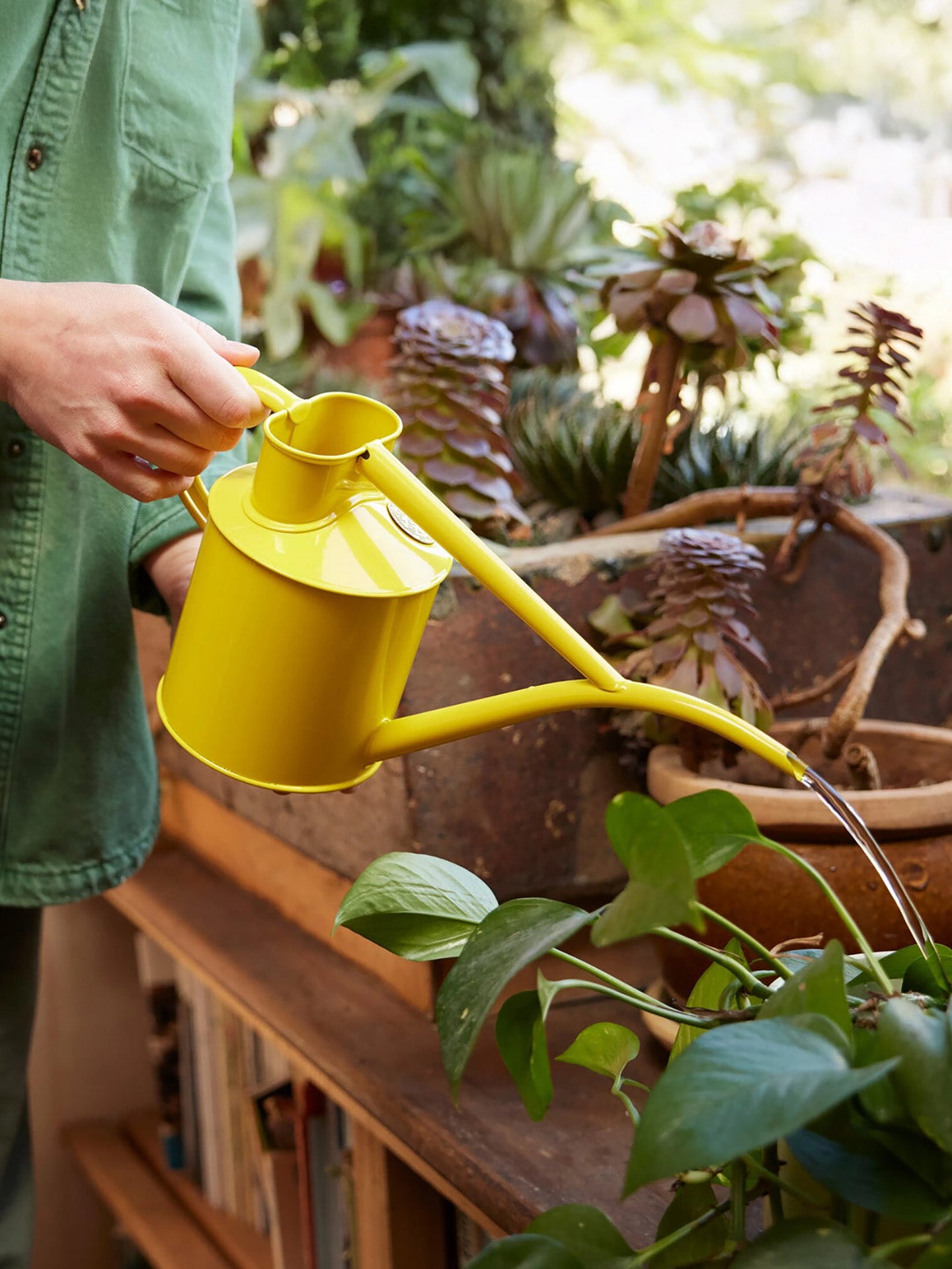 Fazeley Flow watering can, Lotus Yellow (1L)