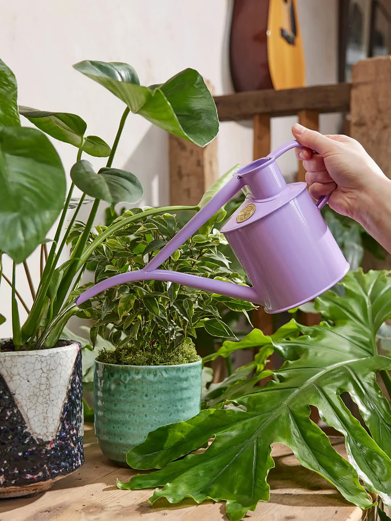 Fazeley Flow watering can, Misty Lilac (1L)