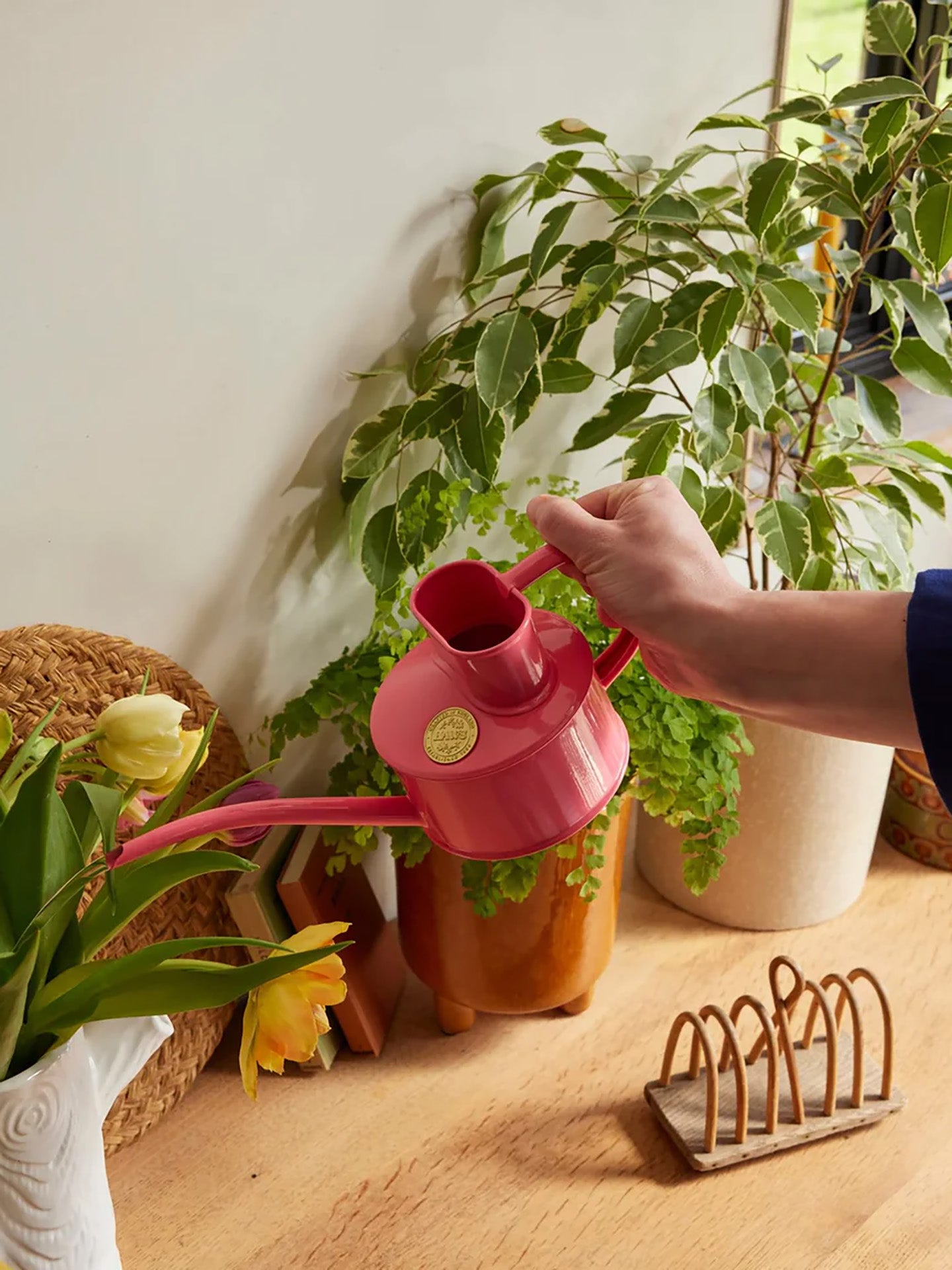 Fazeley Flow watering can, Peppercorn Pink (0.7L)