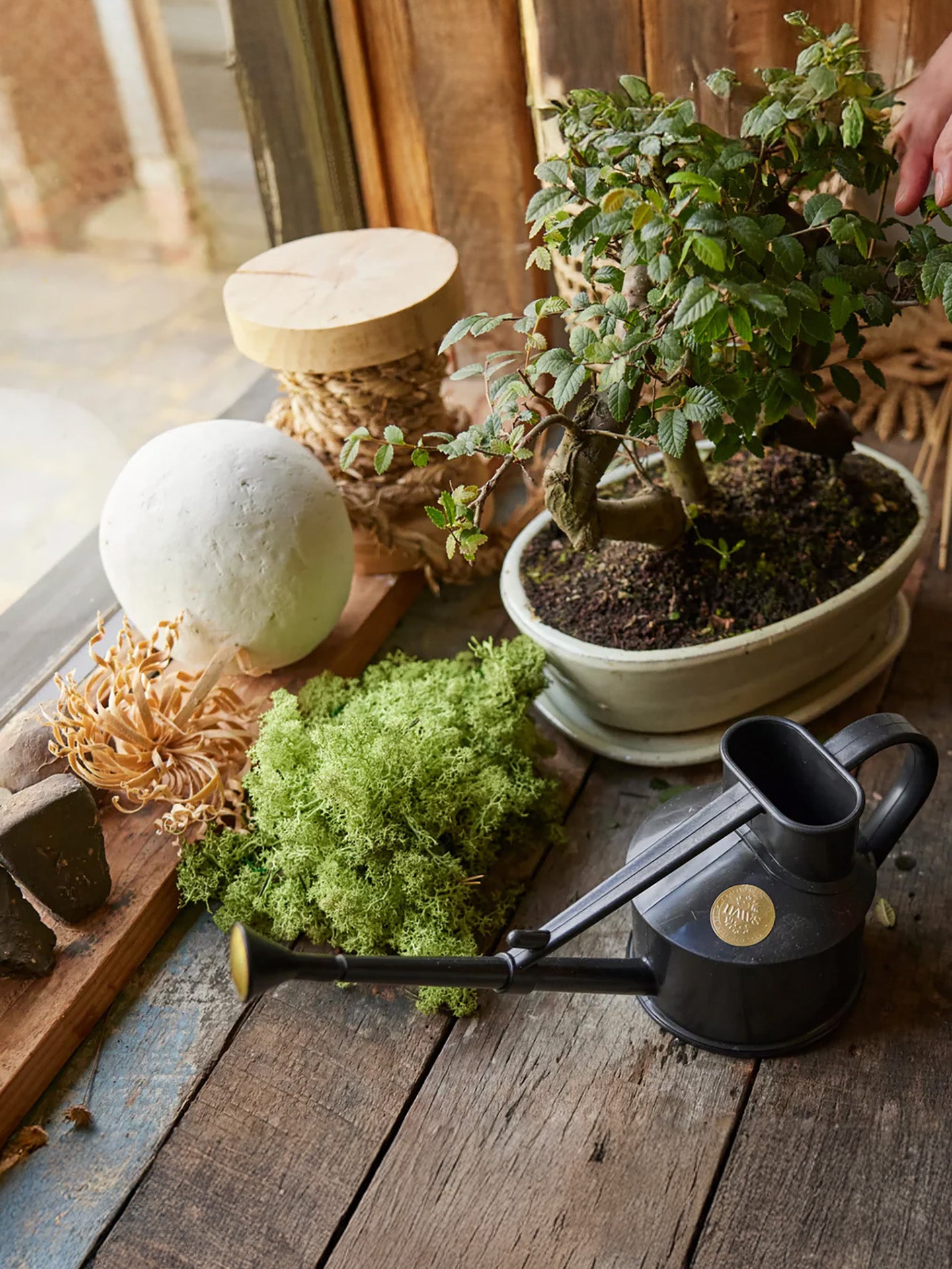 Langley Sprinkler, Black Recycled (0.7L)