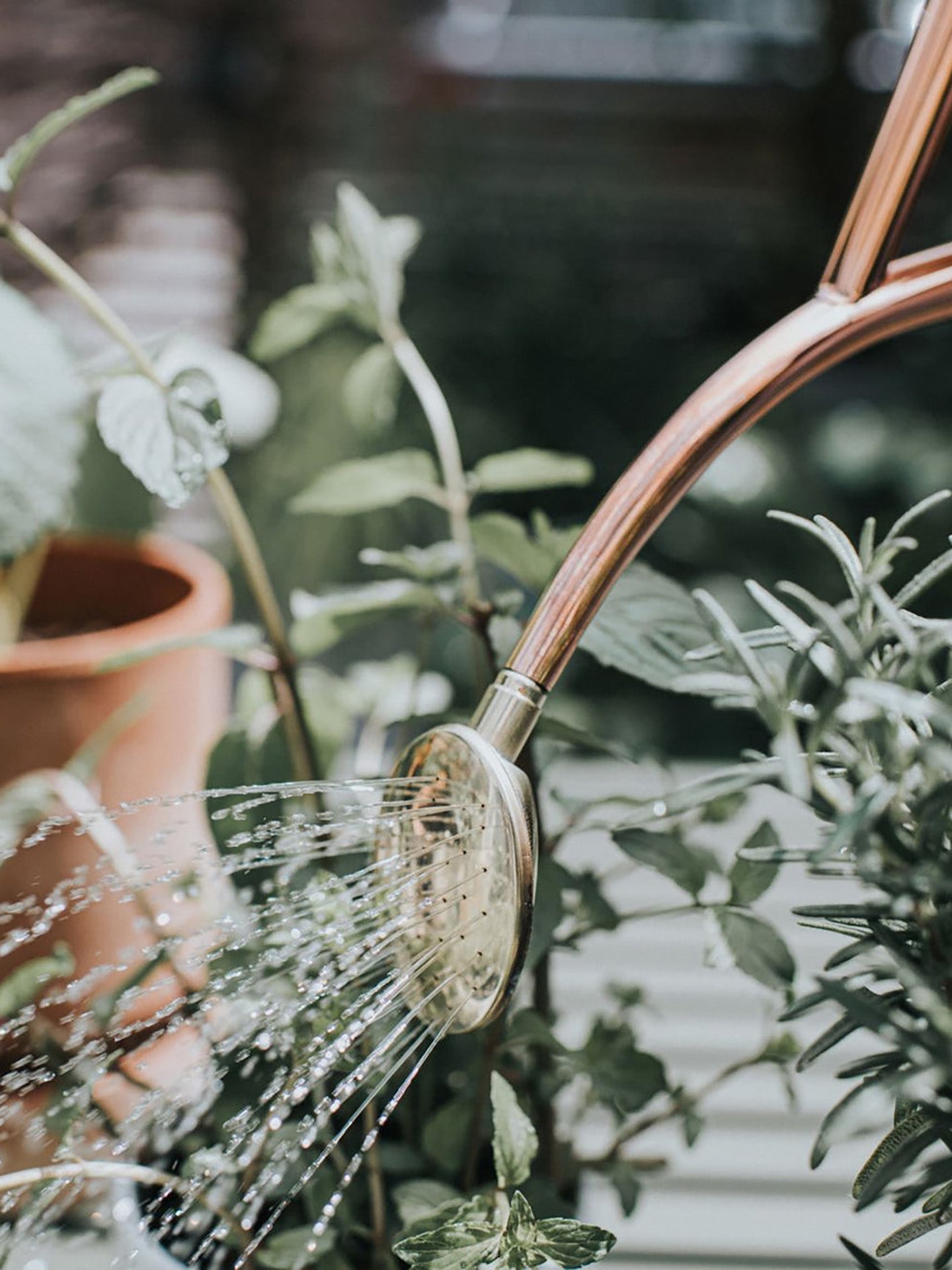 Rowley Ripple watering Can, Copper (1 L)