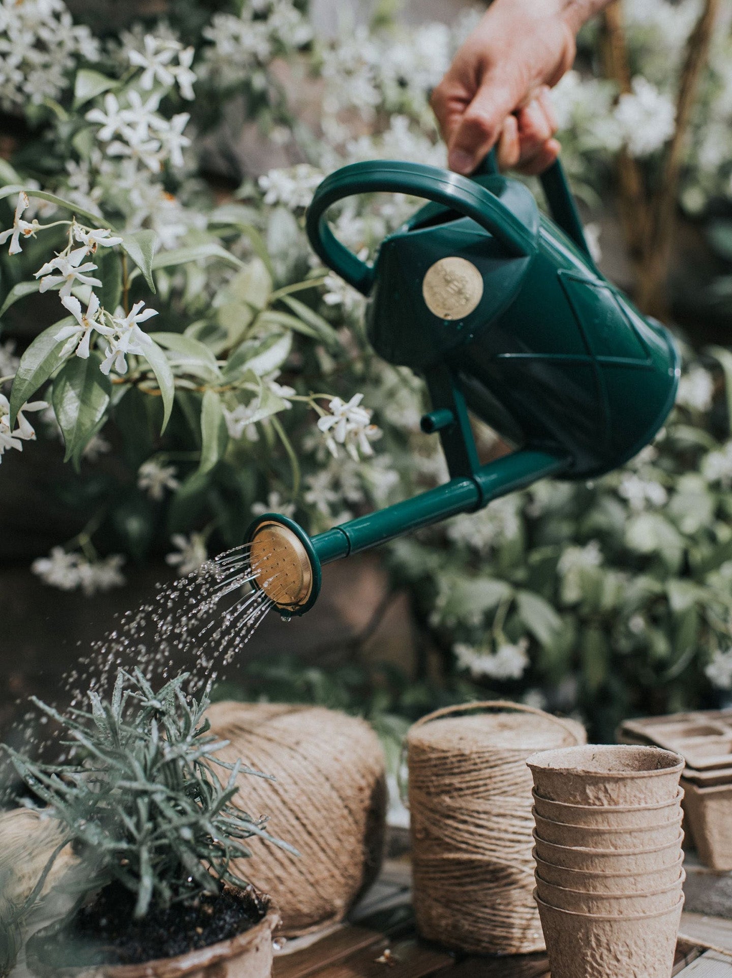 Green Bartley Burbler Watering Can