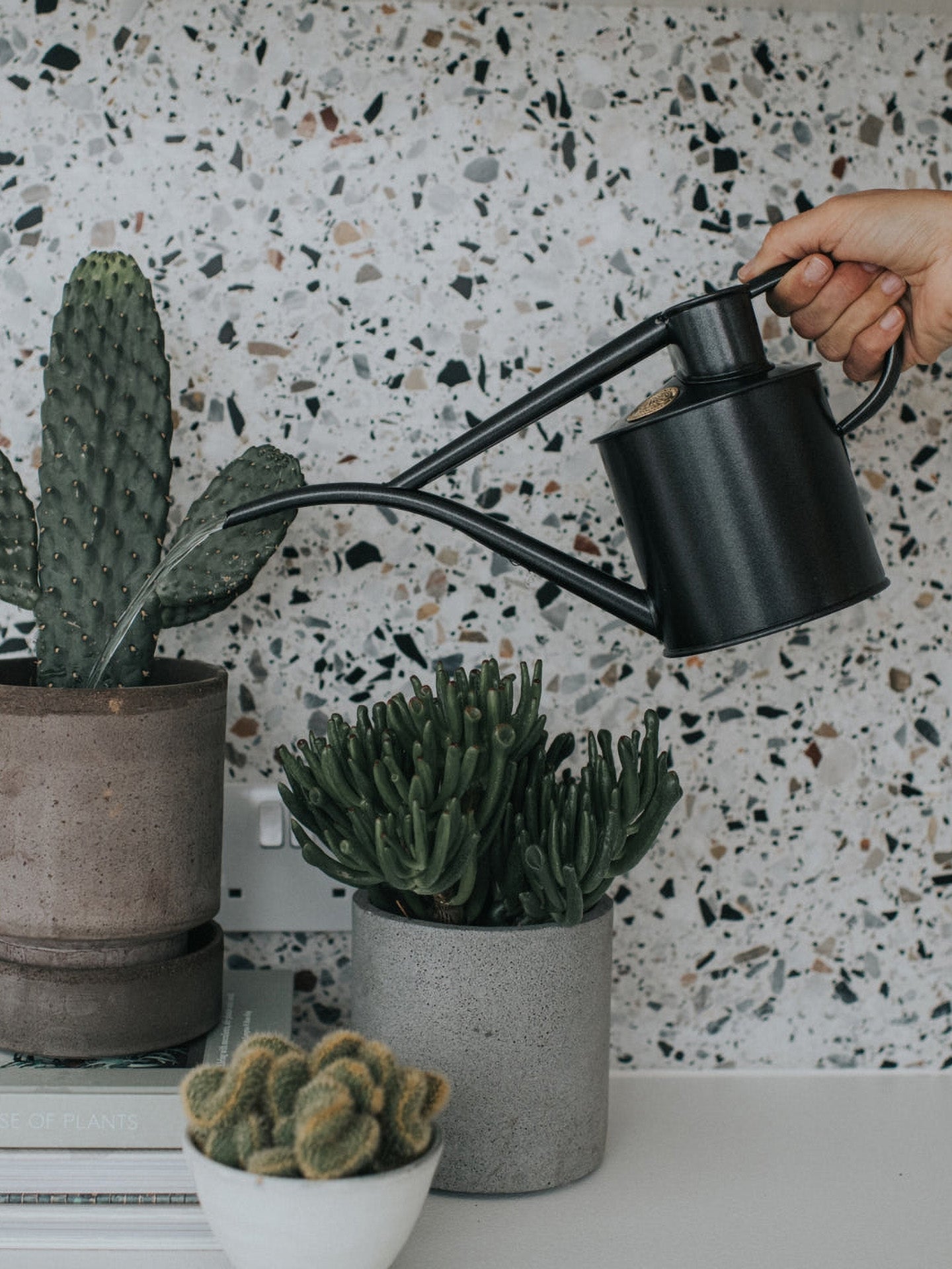 Fazeley flow watering can, graphite grey (1 L)