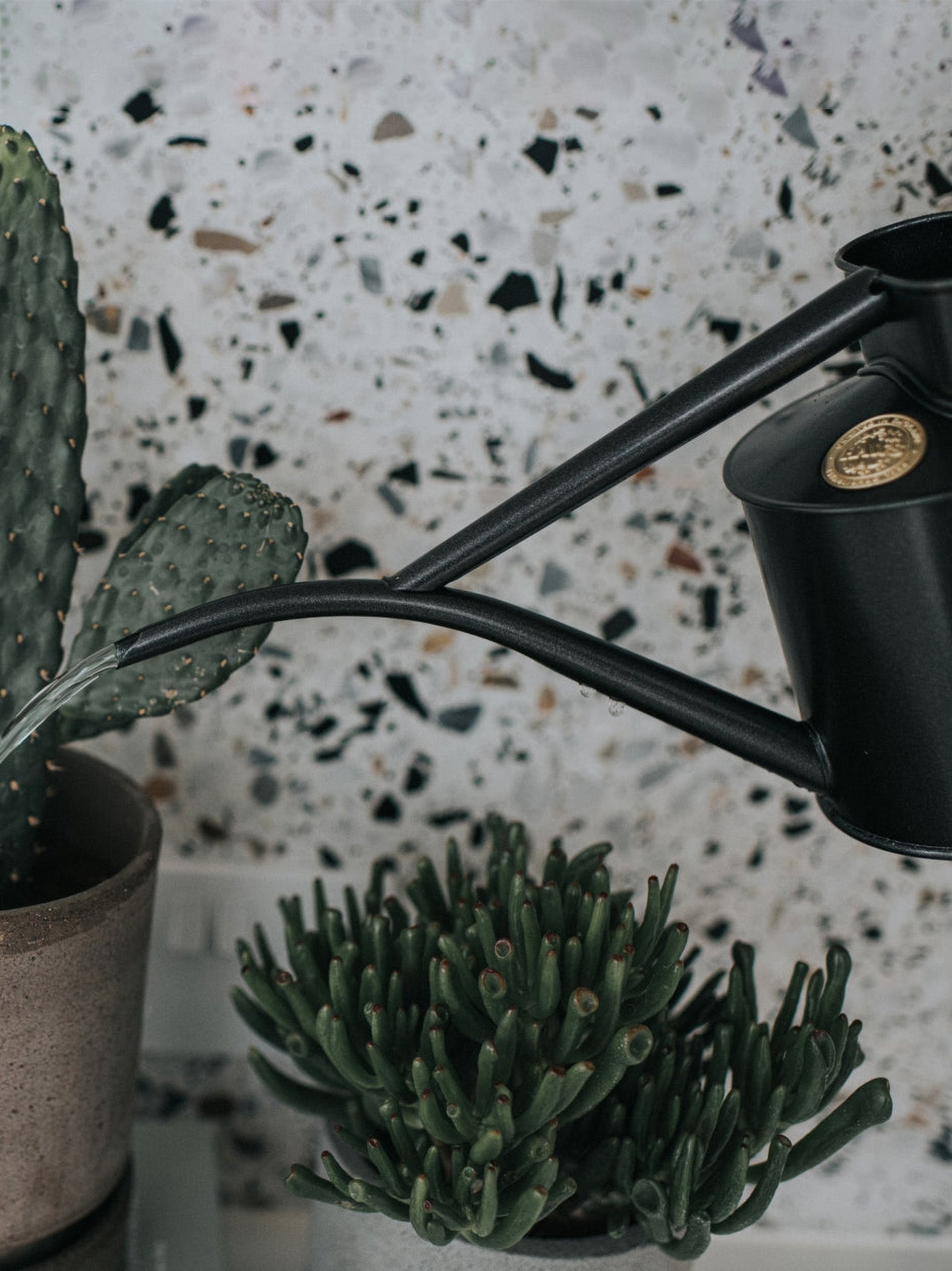 Fazeley flow watering can, graphite grey (1 L)