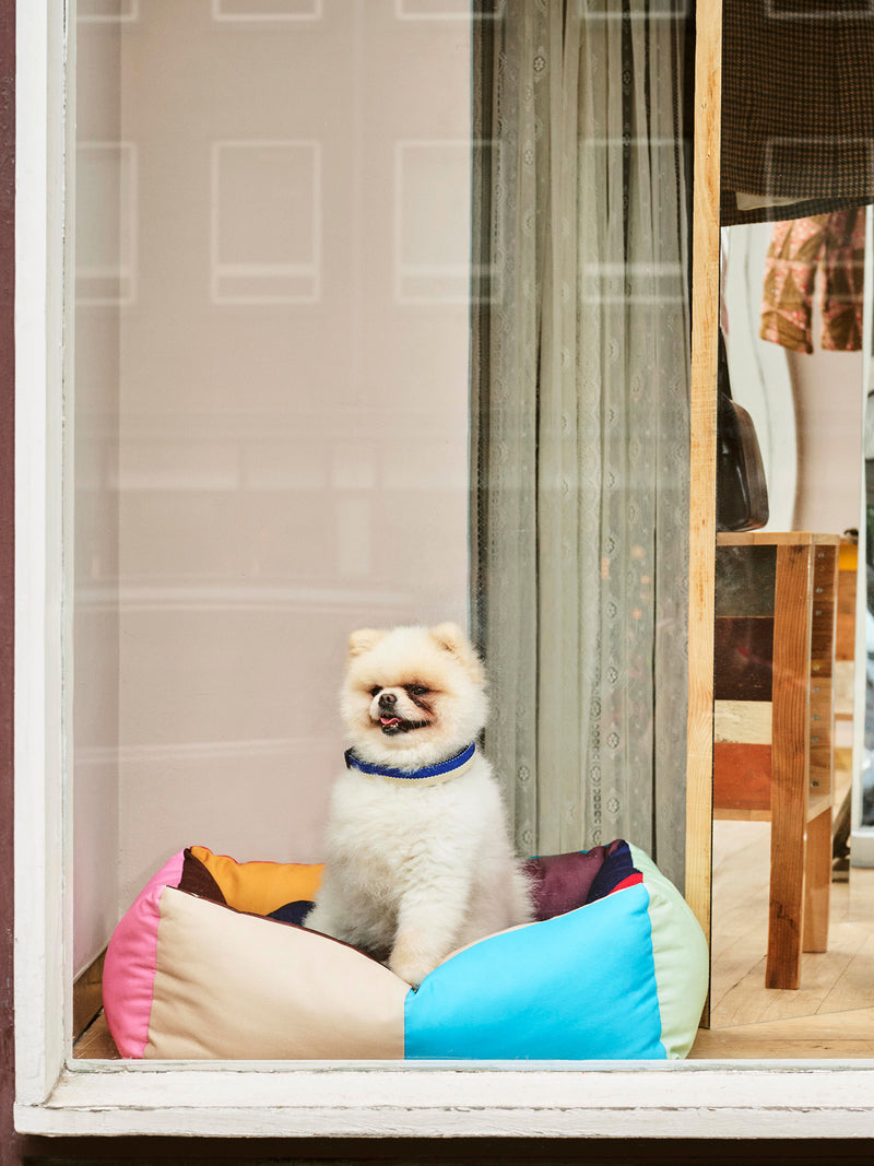 HAY DOGS Bed, Small