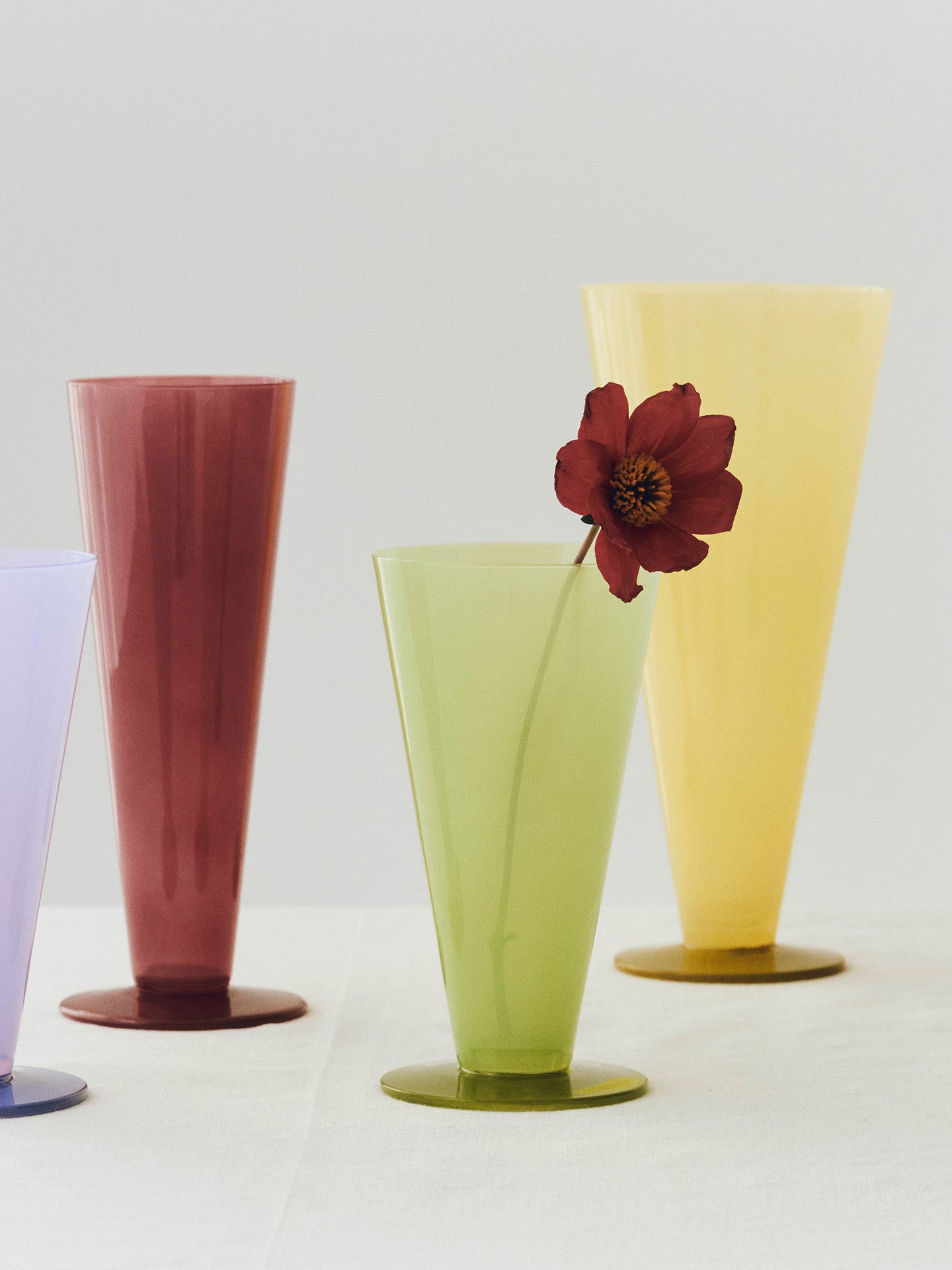 Set of colorful glass vases with a red flower on a light gray background