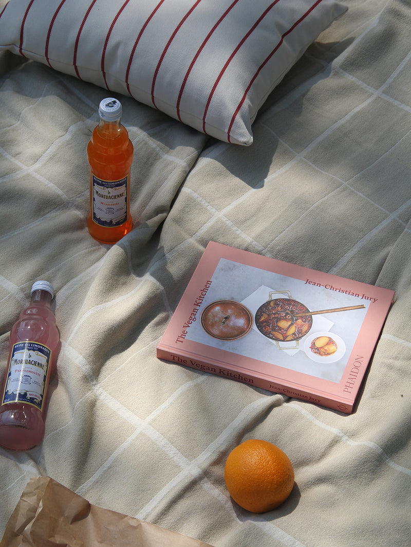 Orange juice bottle, book, and orange on a checkered blanket with a striped pillow.
