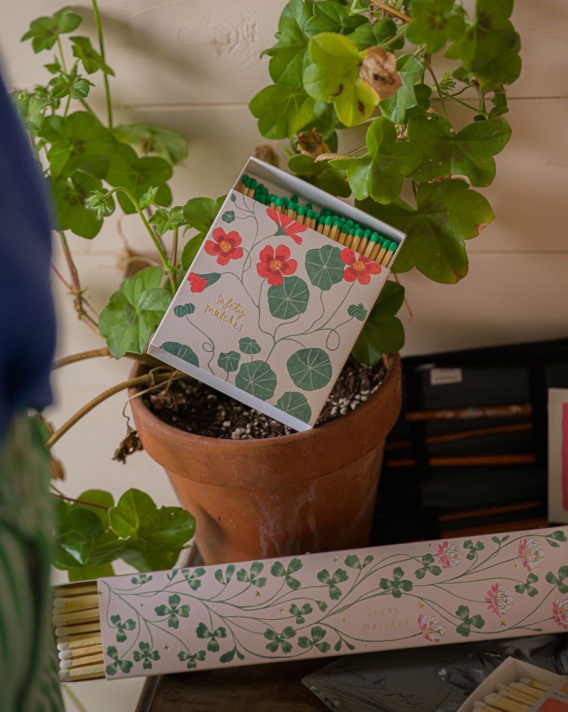 Matches with floral design on a potted plant