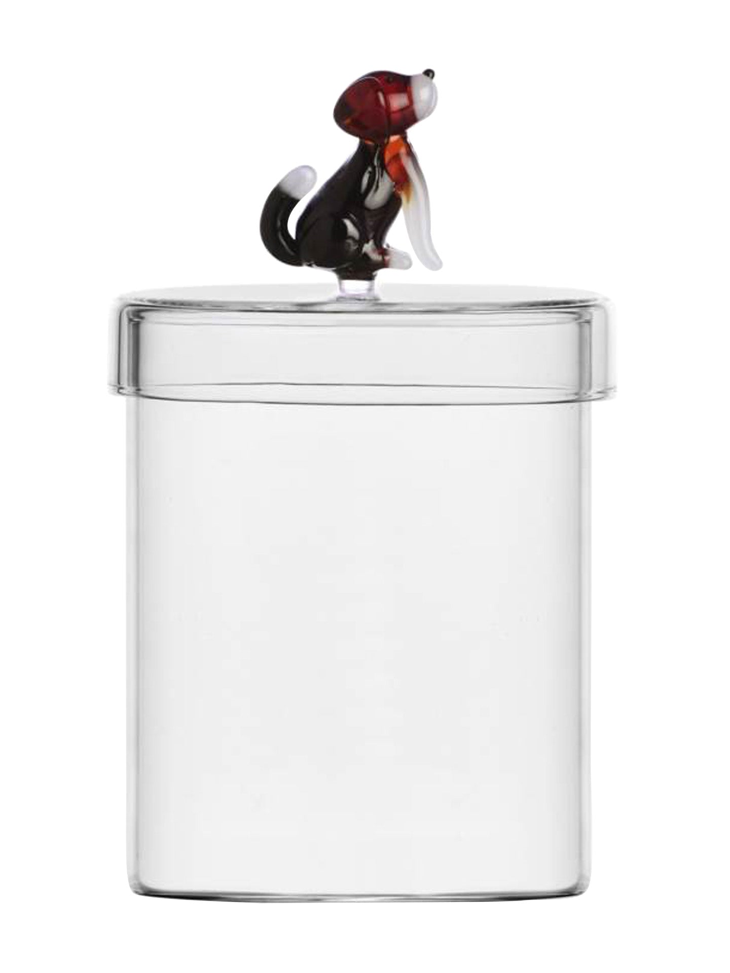 English foxhound box, Dogs collection