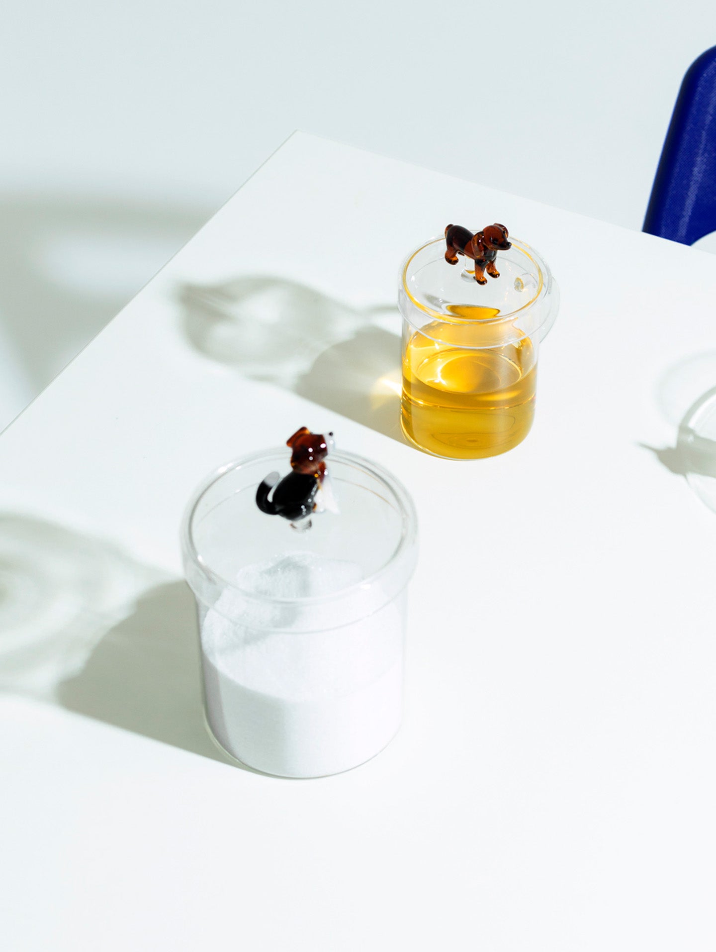 English foxhound box, Dogs collection