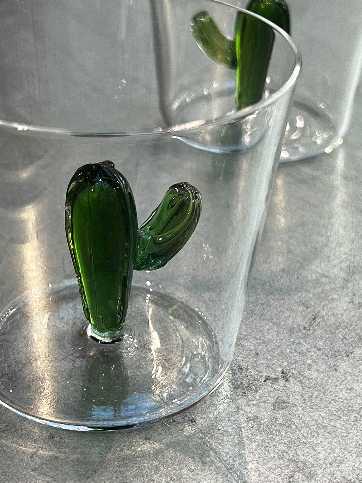 Green Cactus Tumbler, Desert Plants Collection
