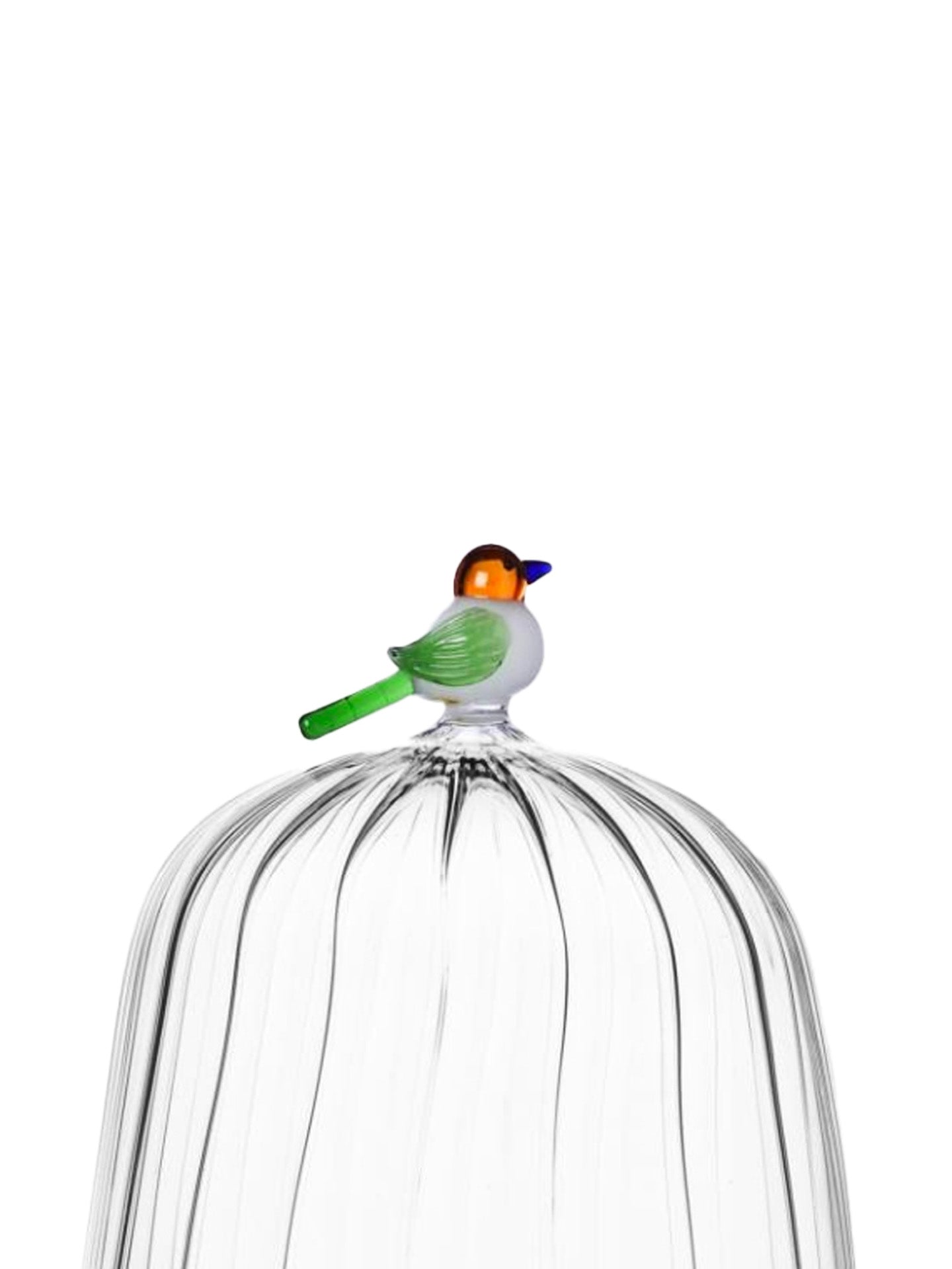 Bird glass dome & plate, large, Animal Farm Collection