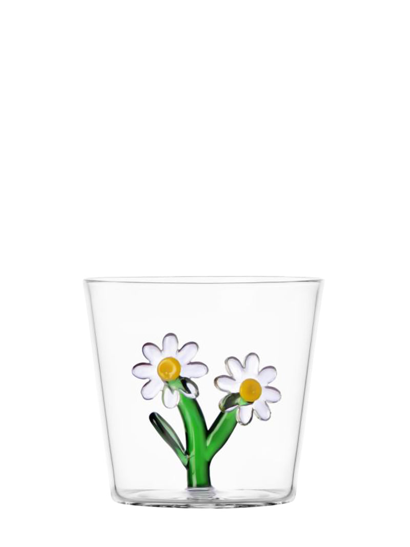 Daisy tumbler, botanica collection