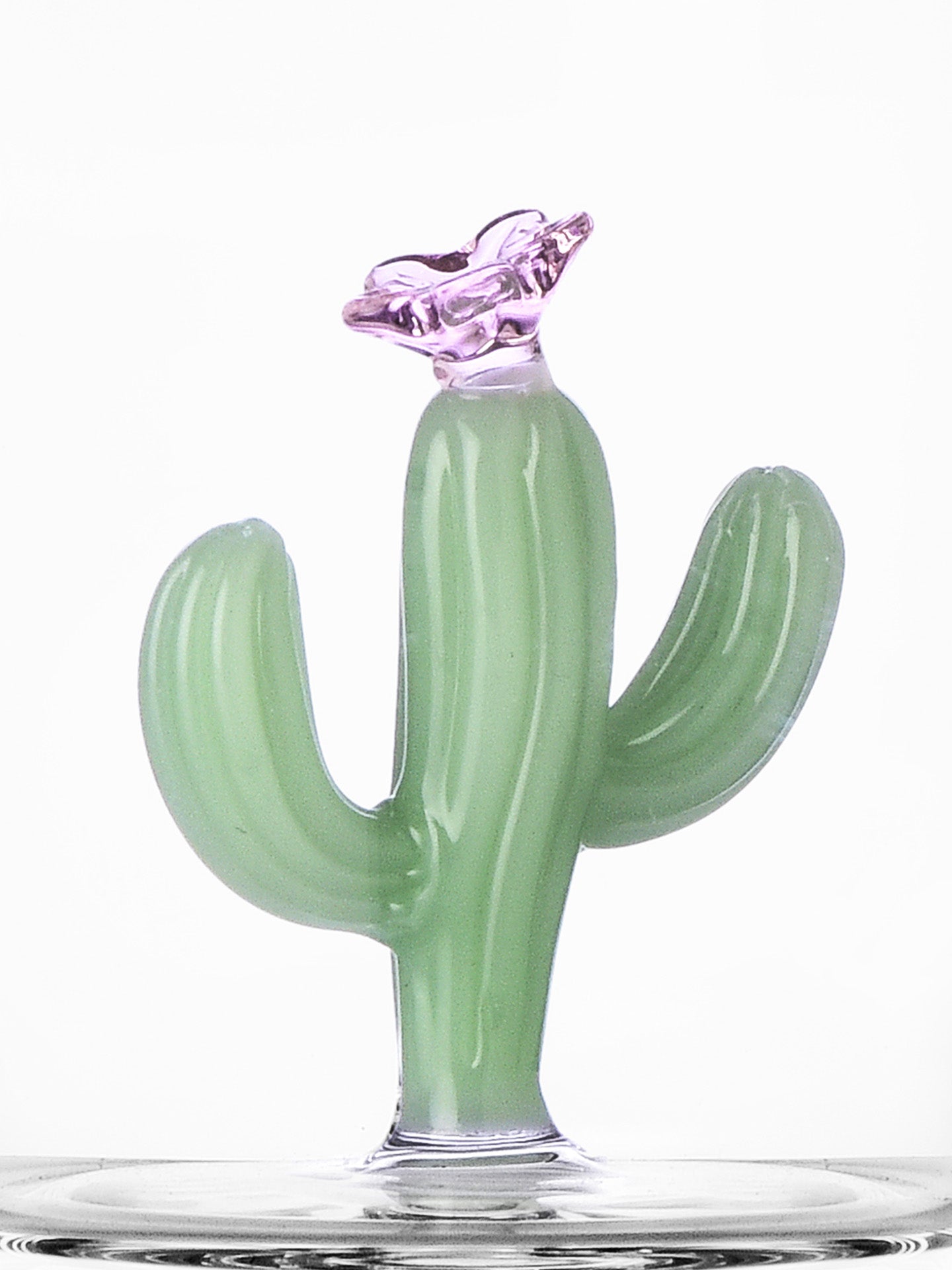 Matte cactus tumbler, Desert Plants collection