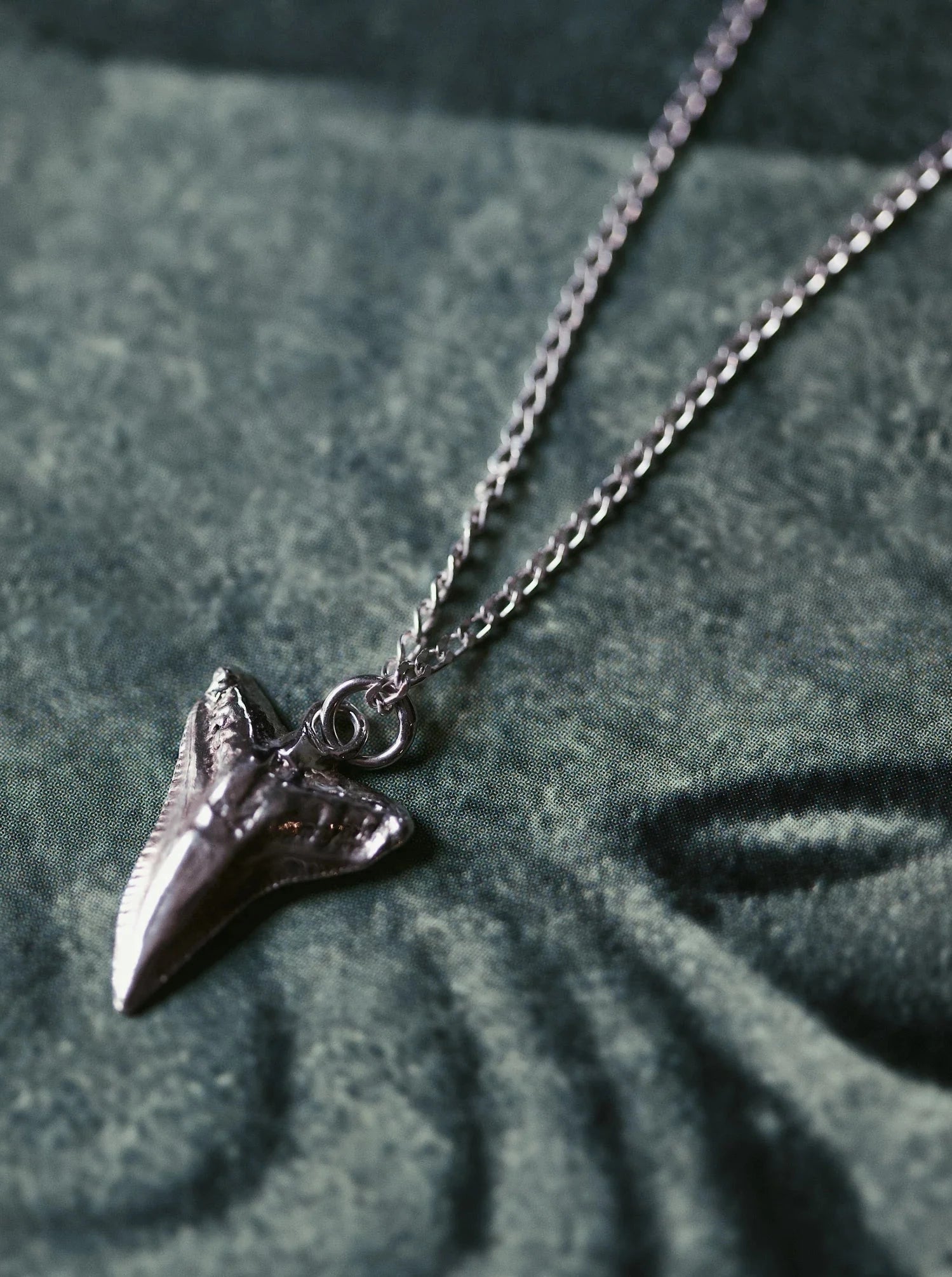 Shark tooth pedant w/40 cm chain