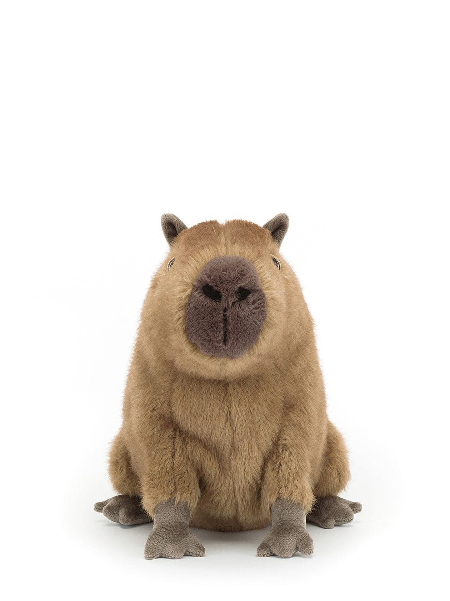 Clyde Capybara