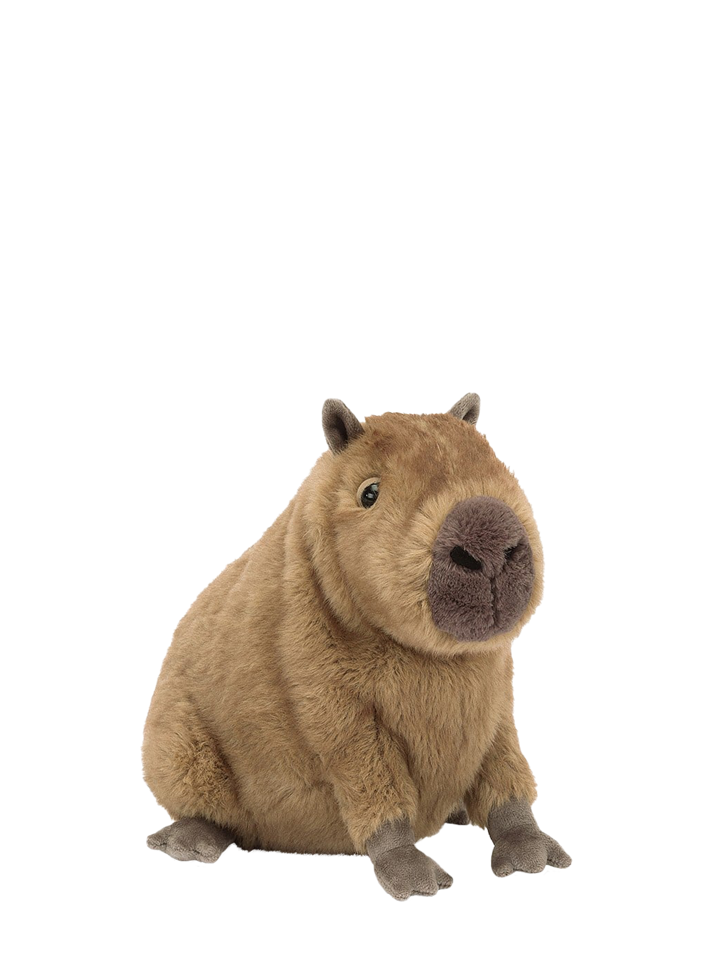 Clyde Capybara