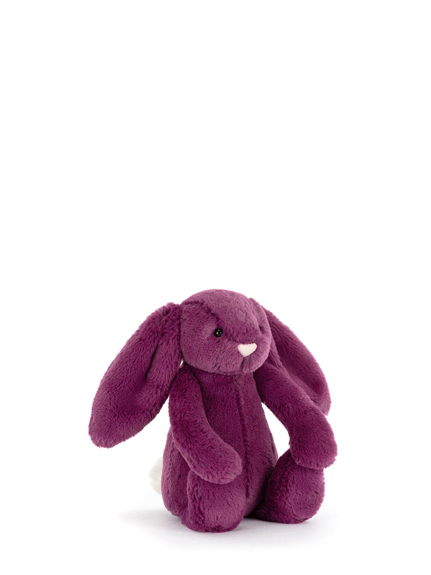 Bashful allium bunny, small