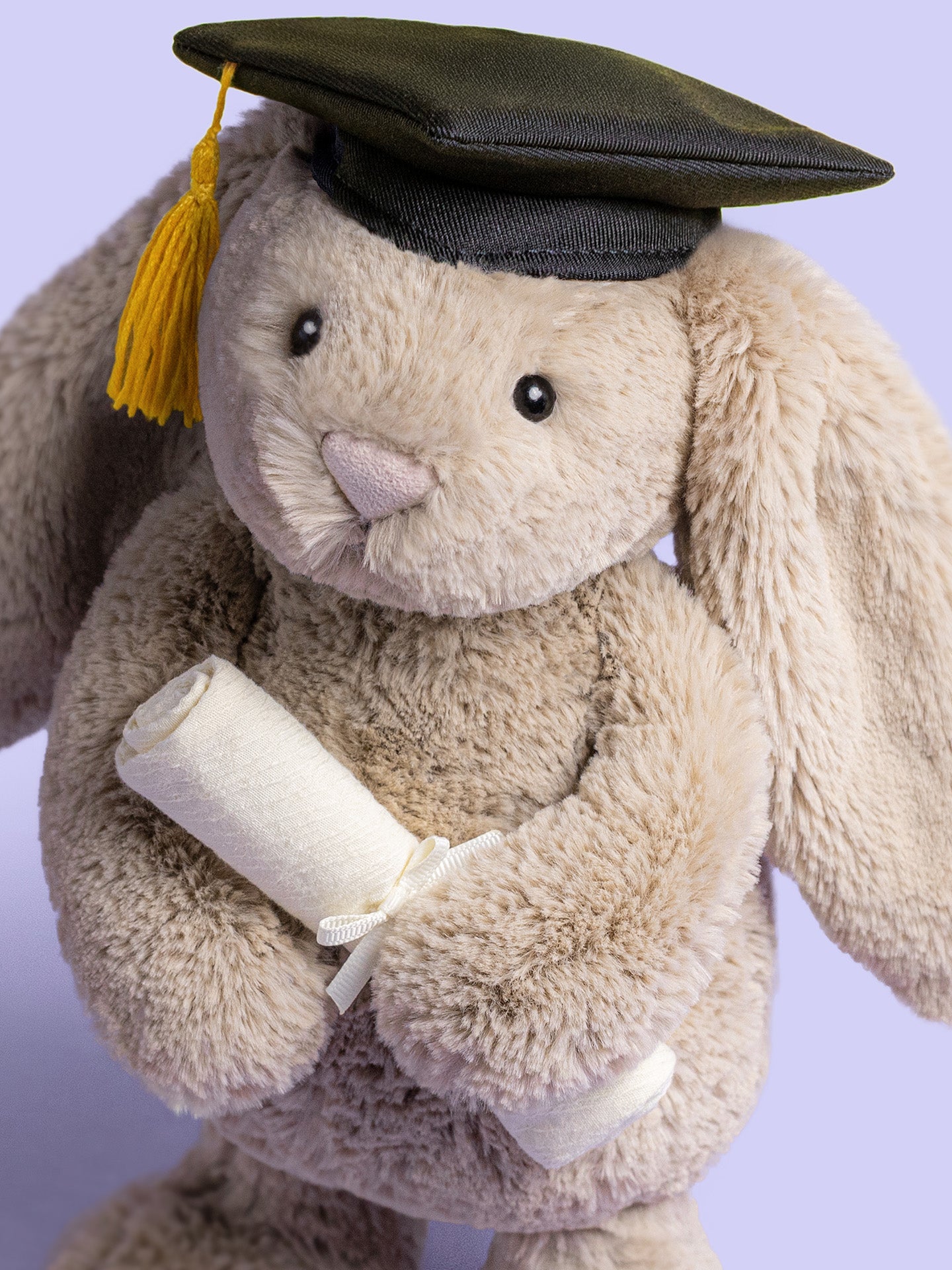 Bashful Bunny Graduation Outfit (31cm)