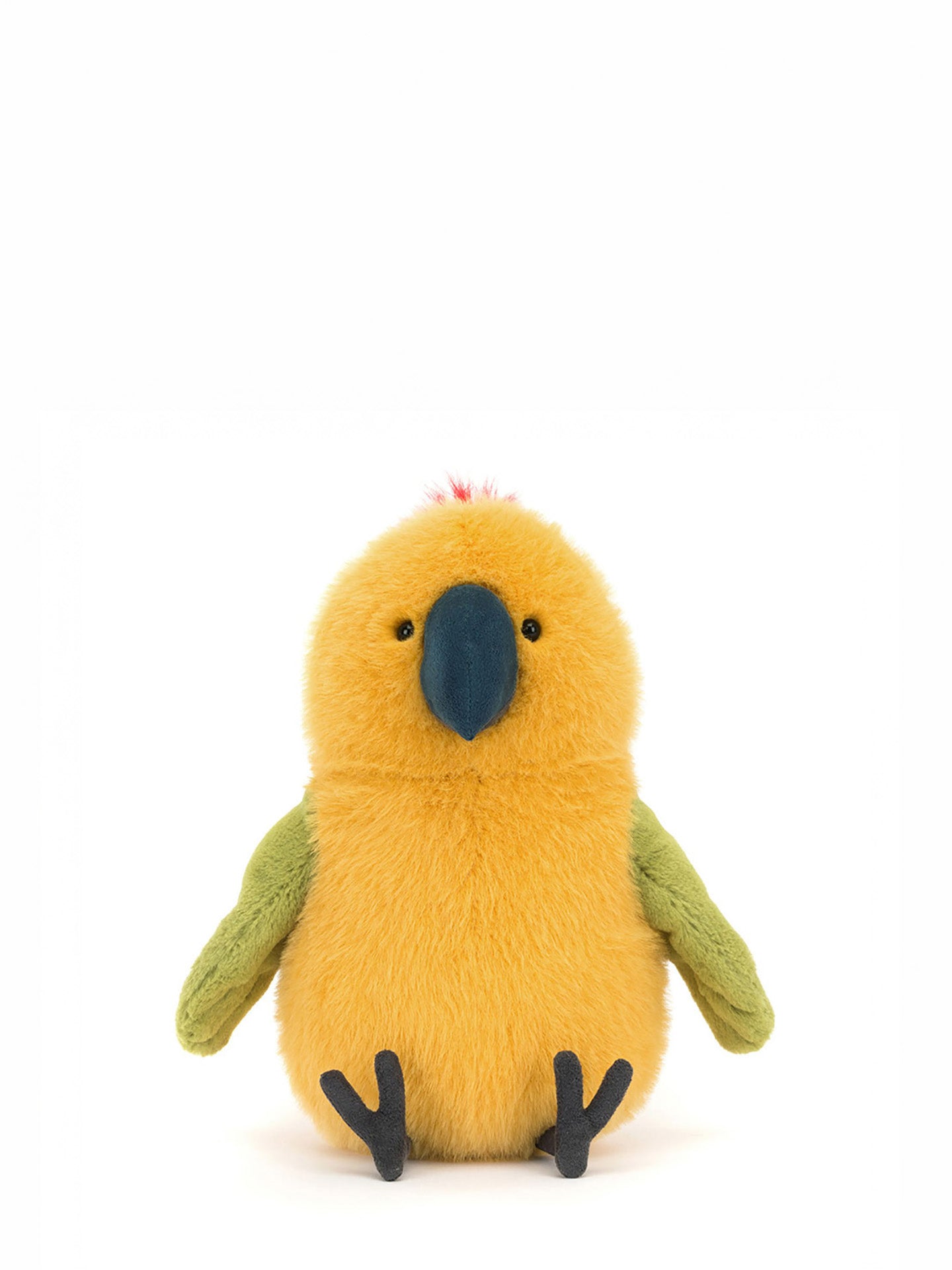 Budgeby Parrot
