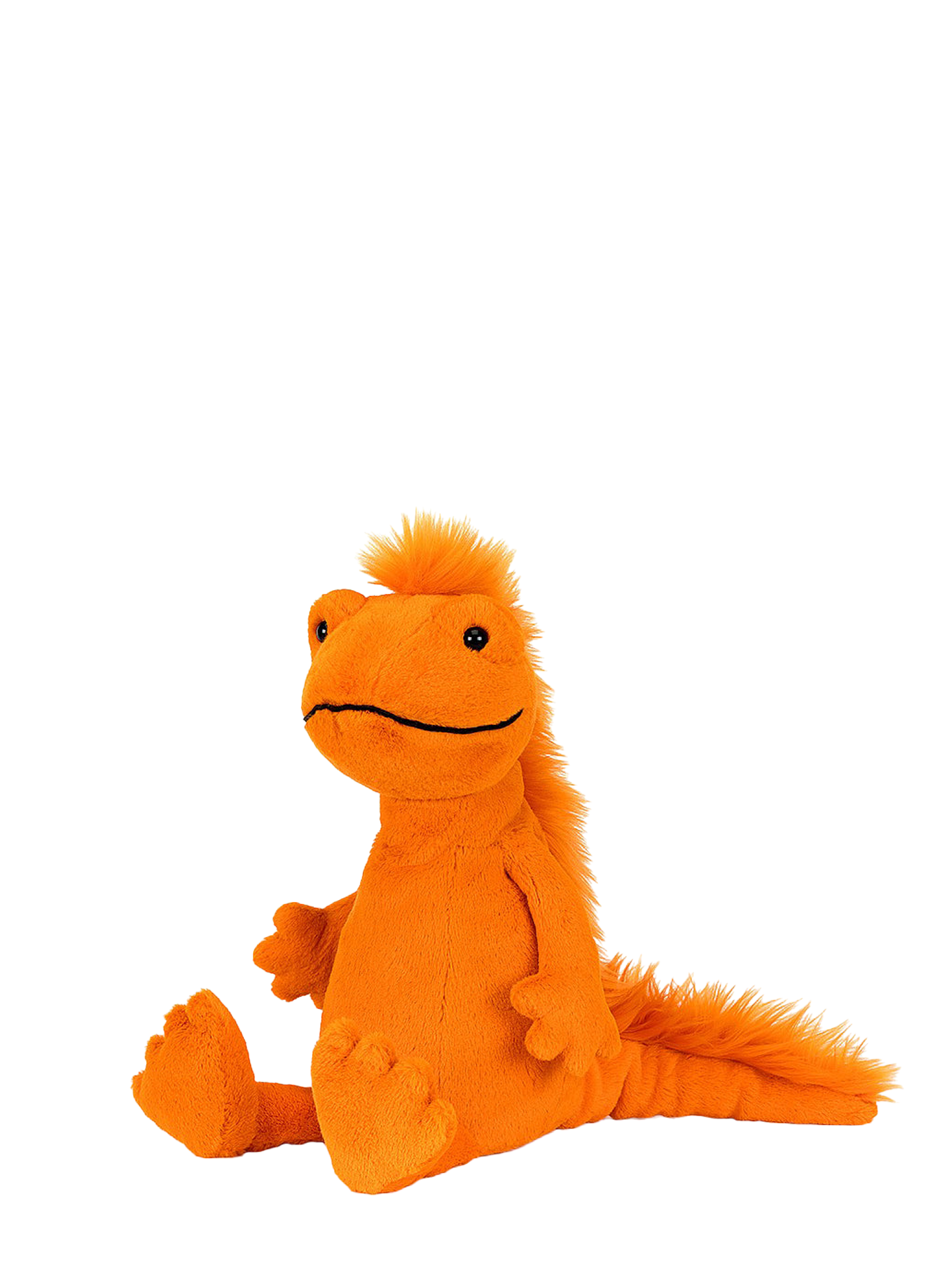 Cruz Crested Newt (30 cm)