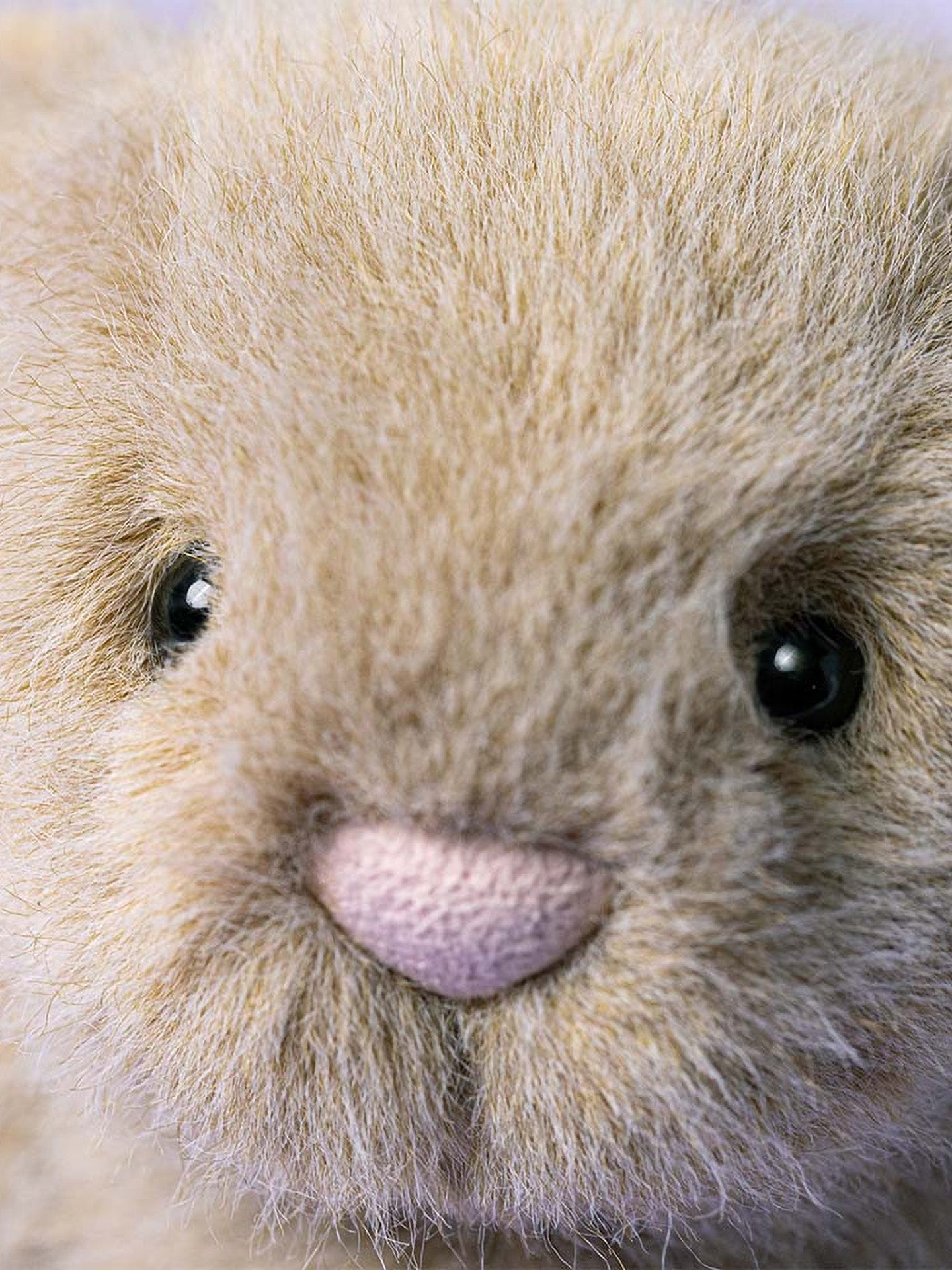 Flufflet Bunny, oat (18 cm)