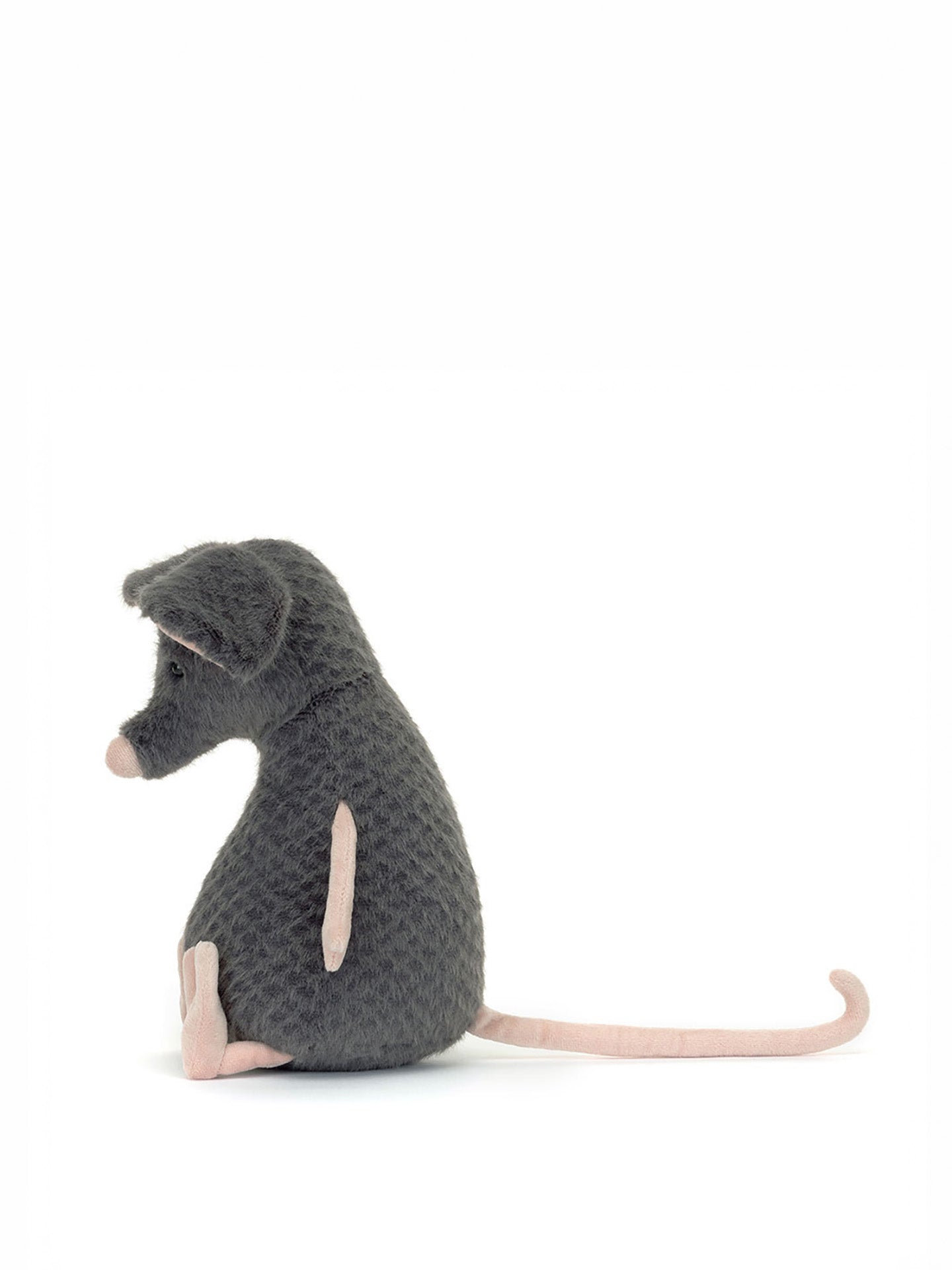 Lachlan Sad Rat