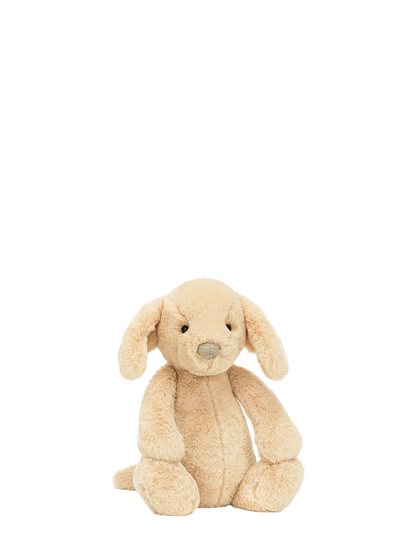 Bashful Luxe Puppy Orlando