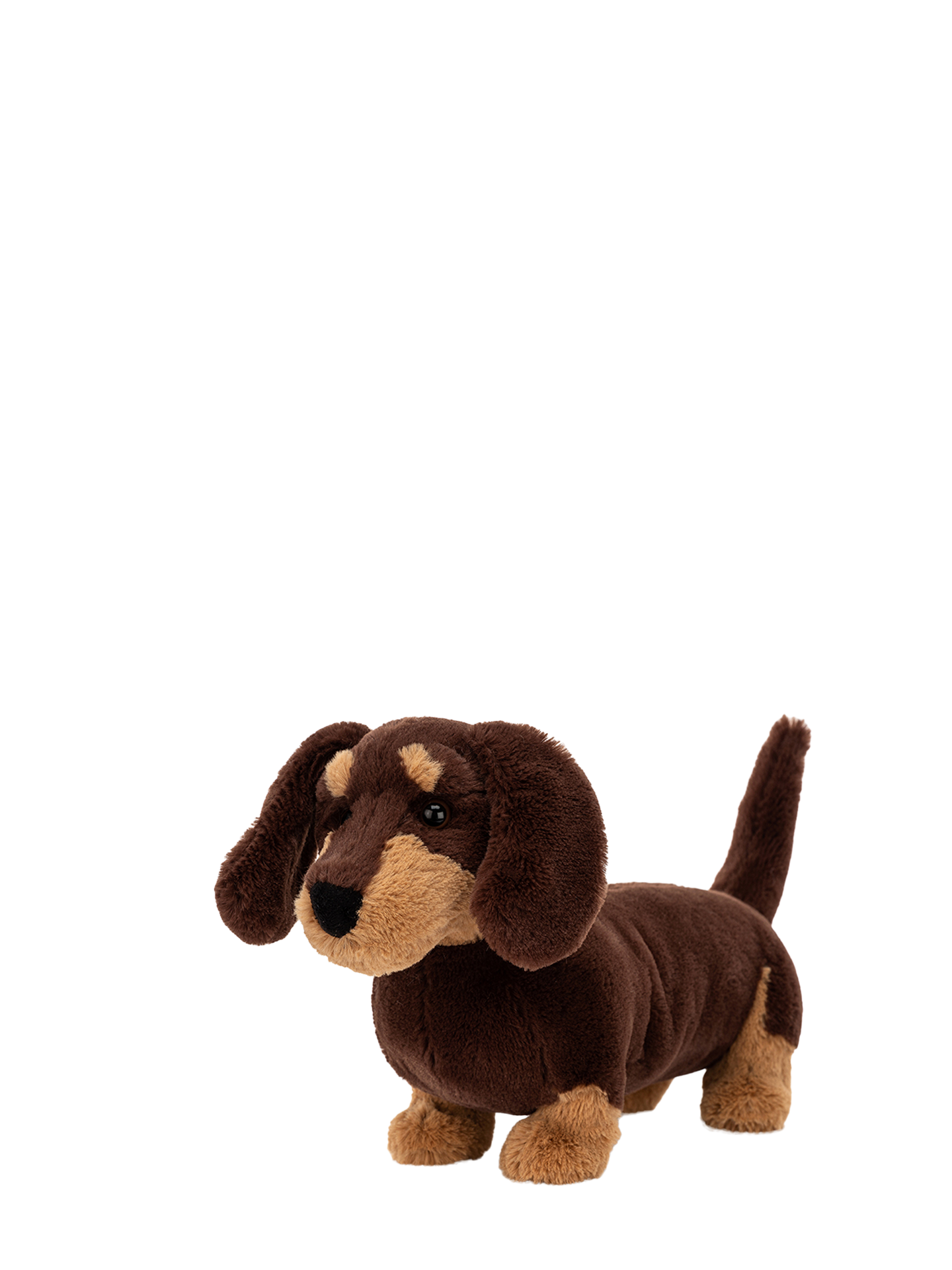 Otto Sausage Dog