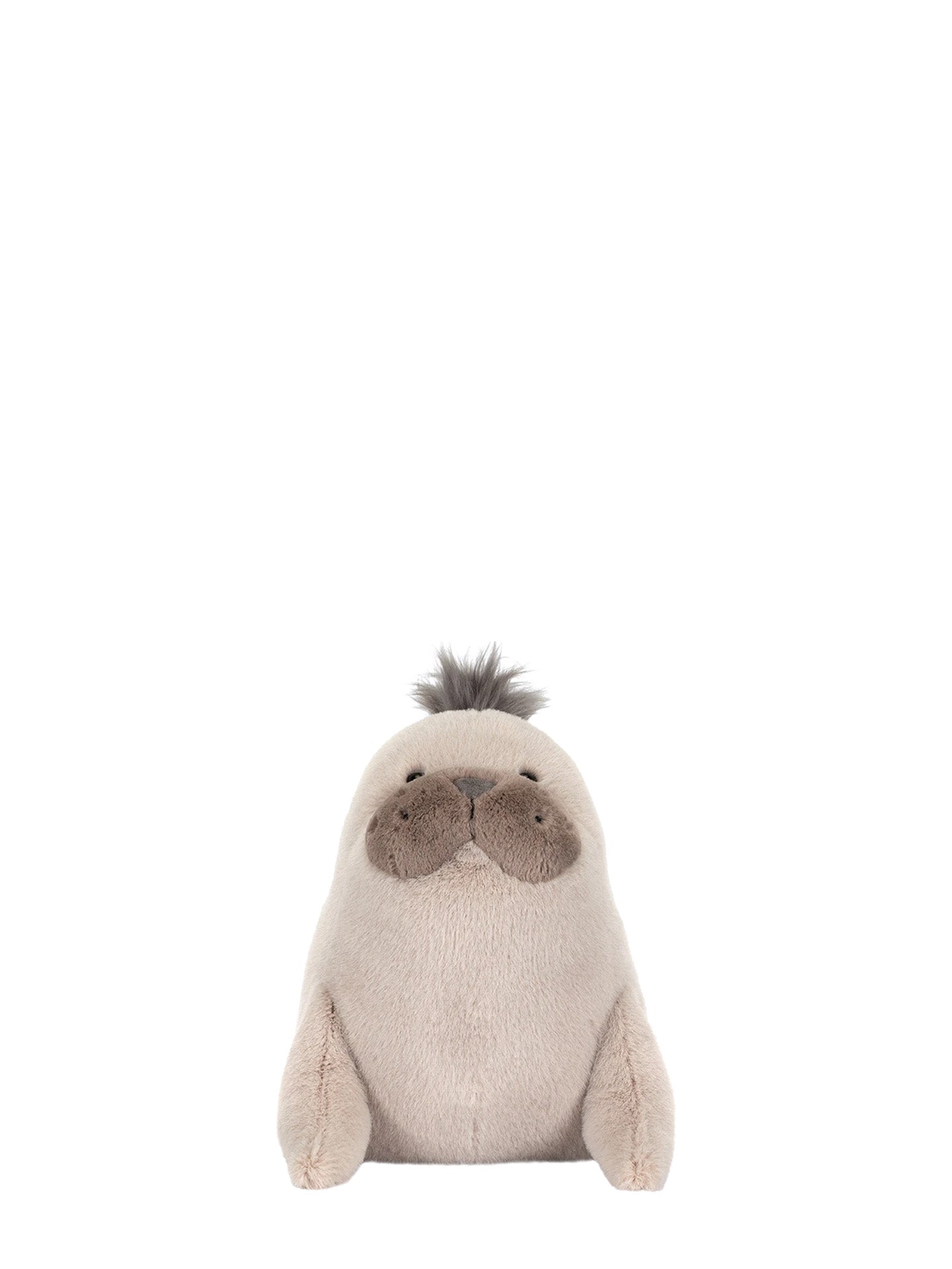 Jellycat: Roarwell Sea Lion soft toy | My o My