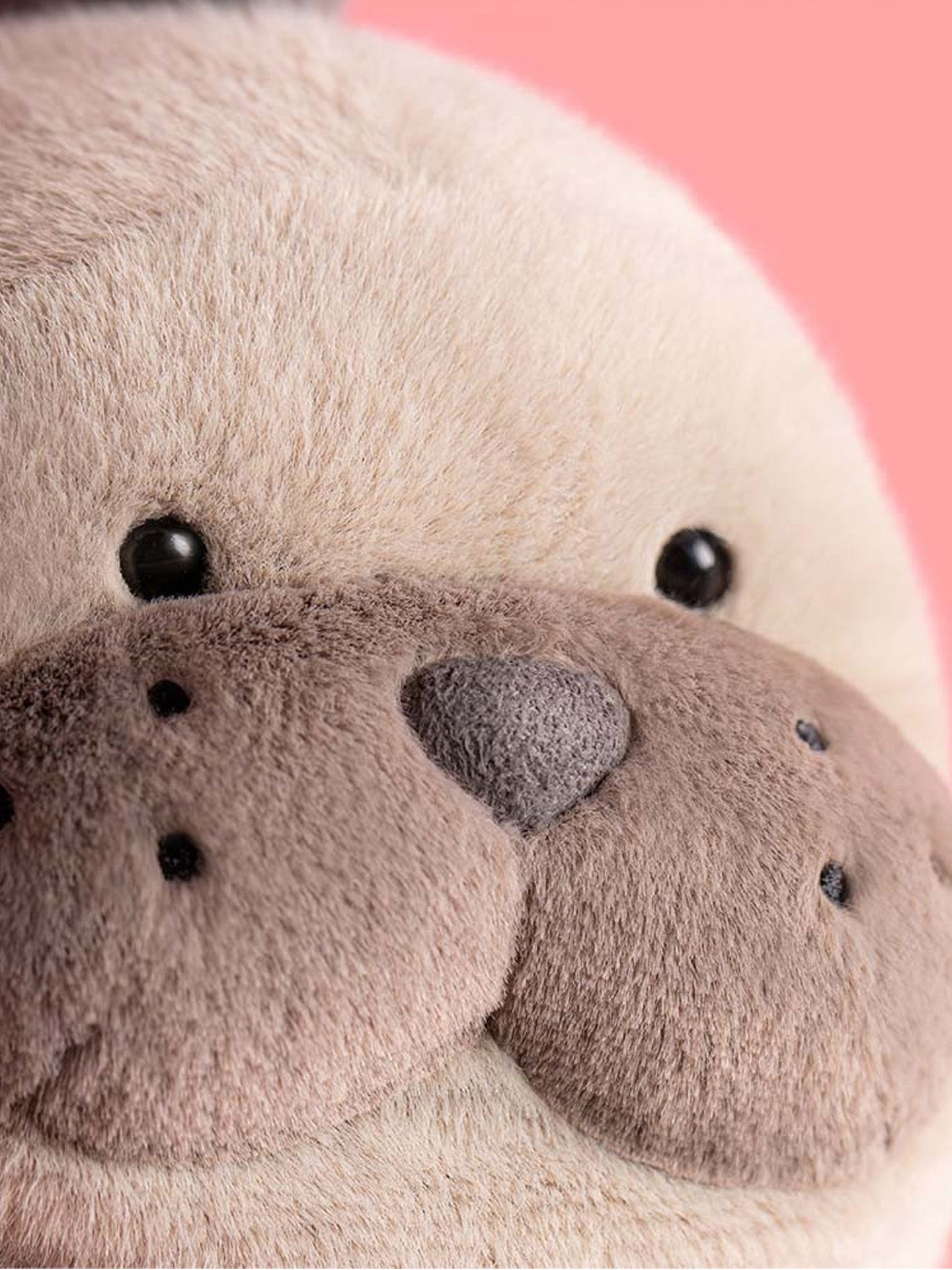 Roarwell sea lion (30cm)