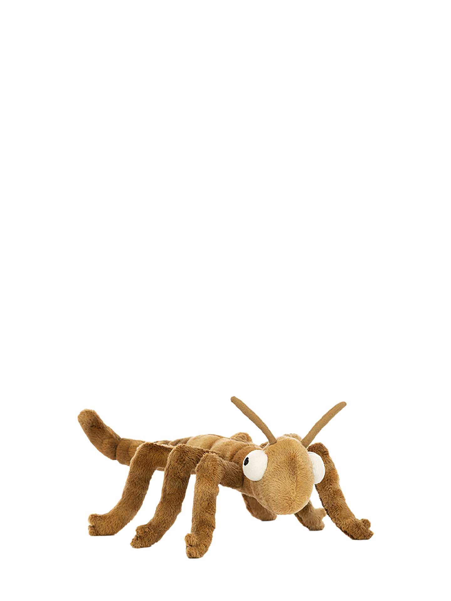 Stick Insect
