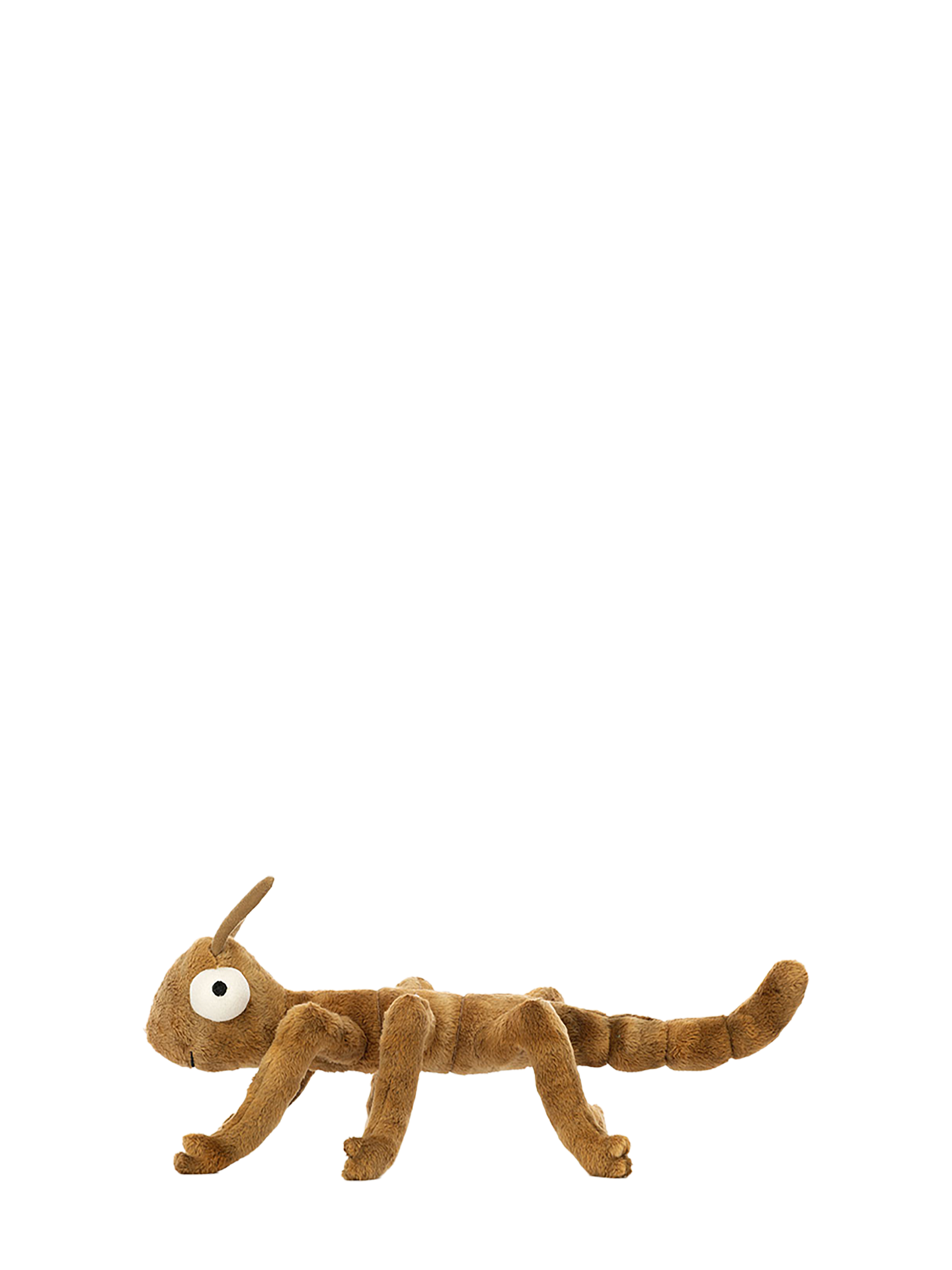 Stick Insect