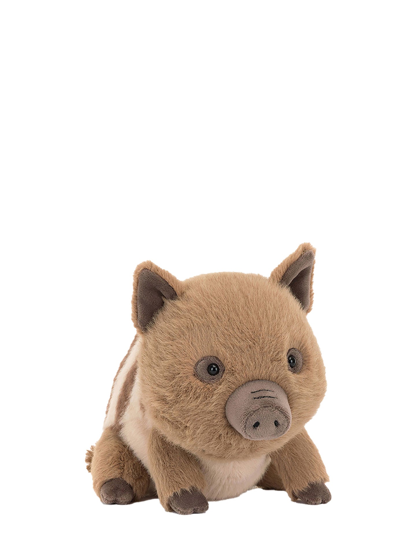 Swinley Boar