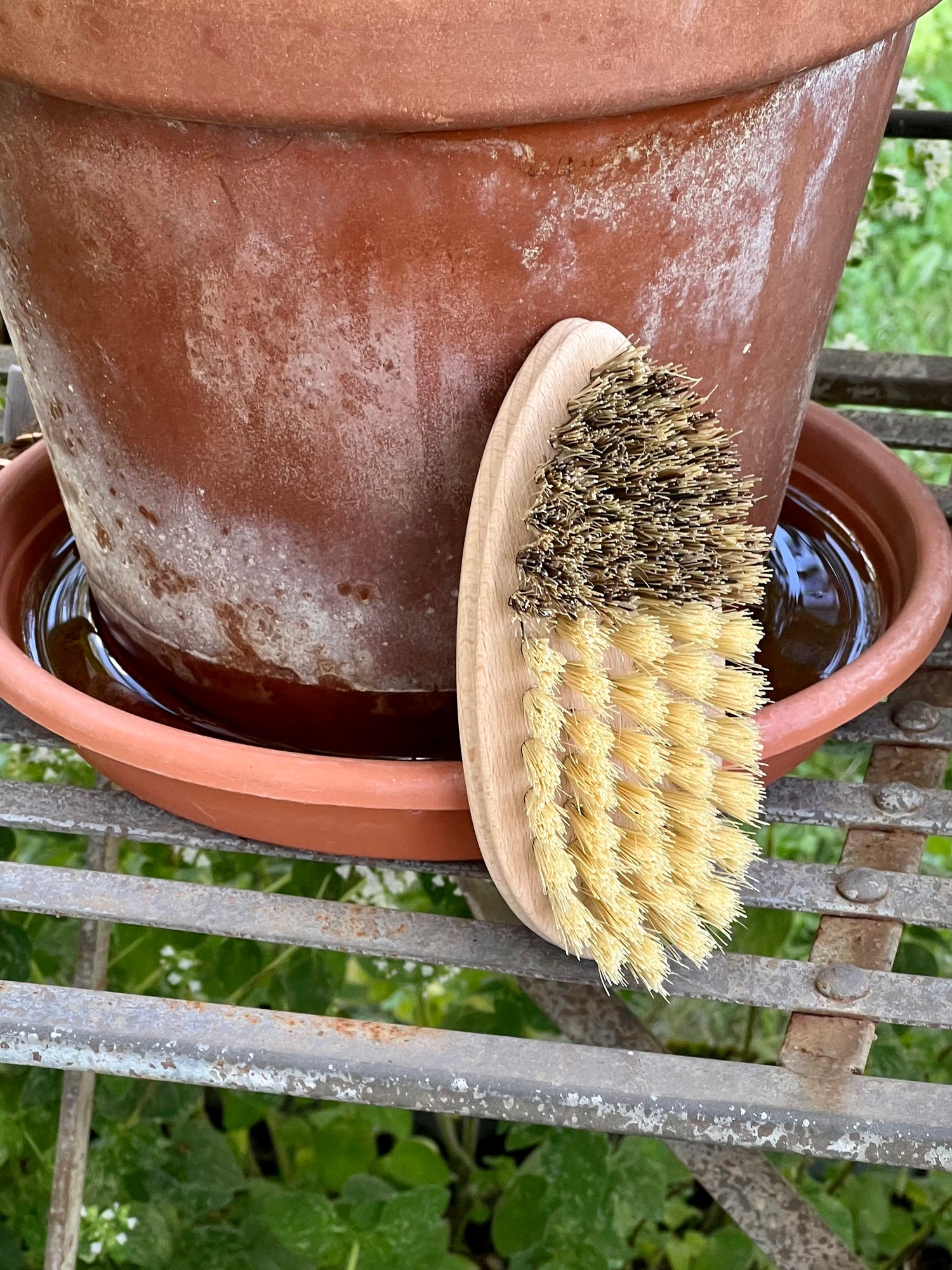 Brush with natural bristles leaning against a terracotta pot outdoors.