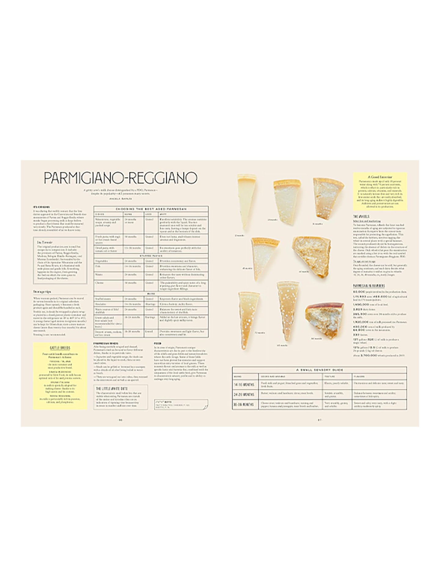 Let's Eat Italy! - cook book