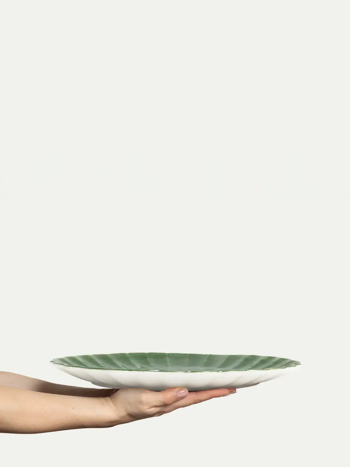 Person holding a white plate with green top against a white background