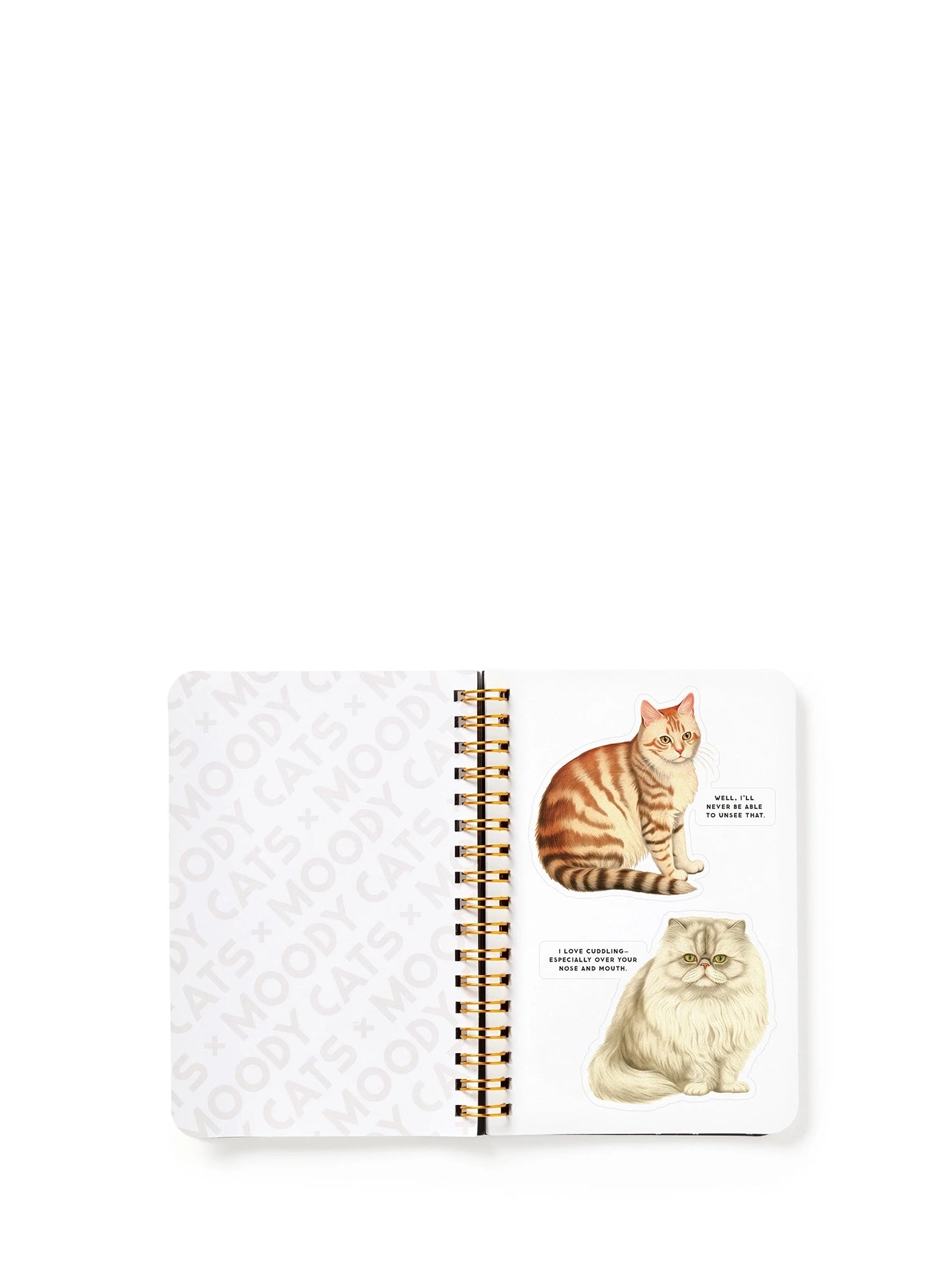 Moody Cats Sticker Book