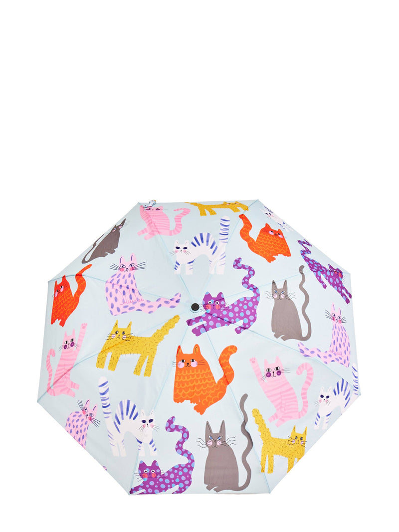 Umbrella with colorful cat pattern on a white background