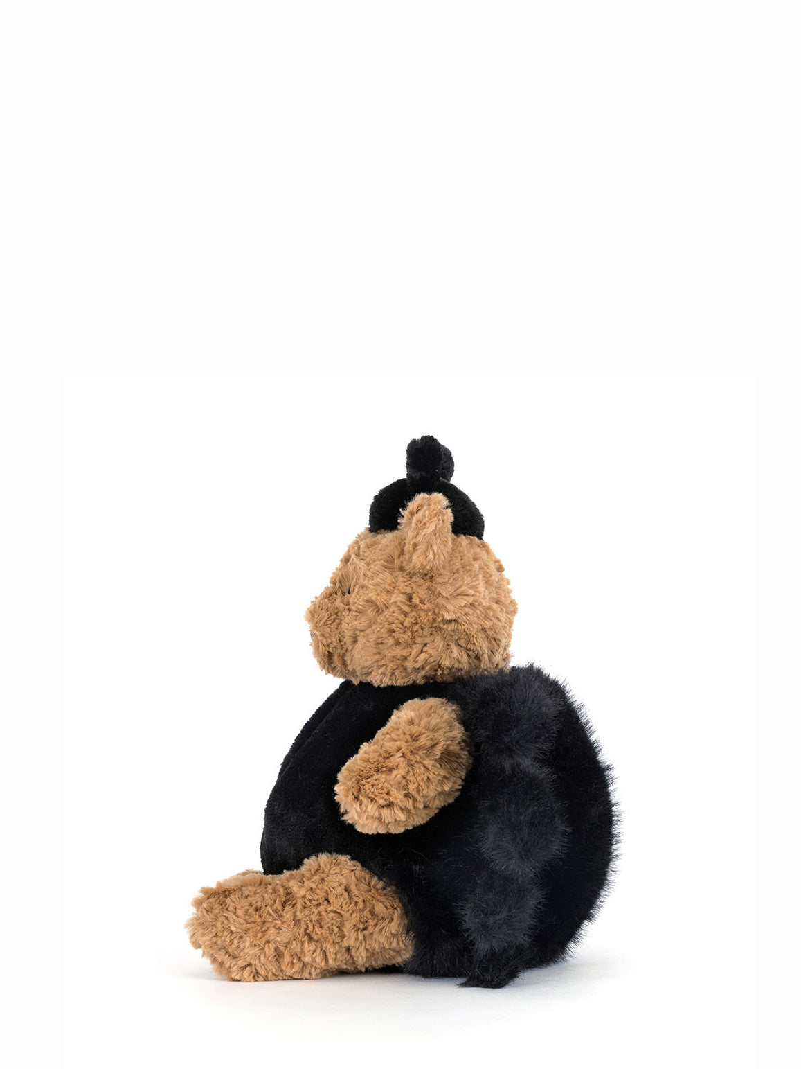 Black and brown teddy bear on a white background